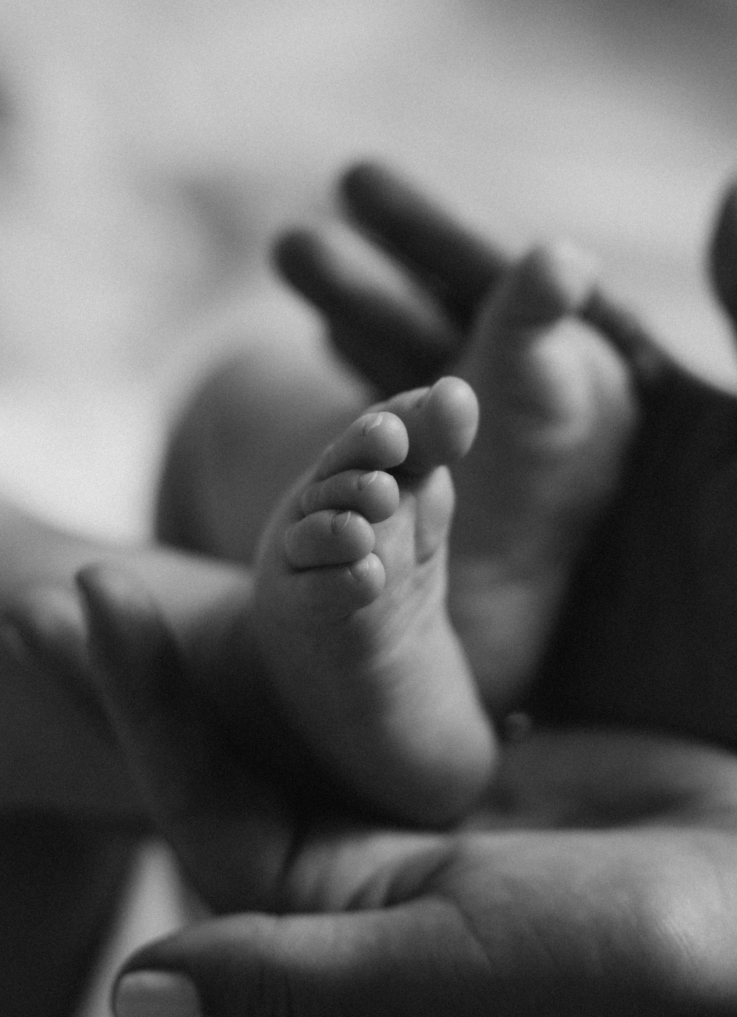 Данил + Тома + Мира. Семейный и детский фотограф Юлия Шох