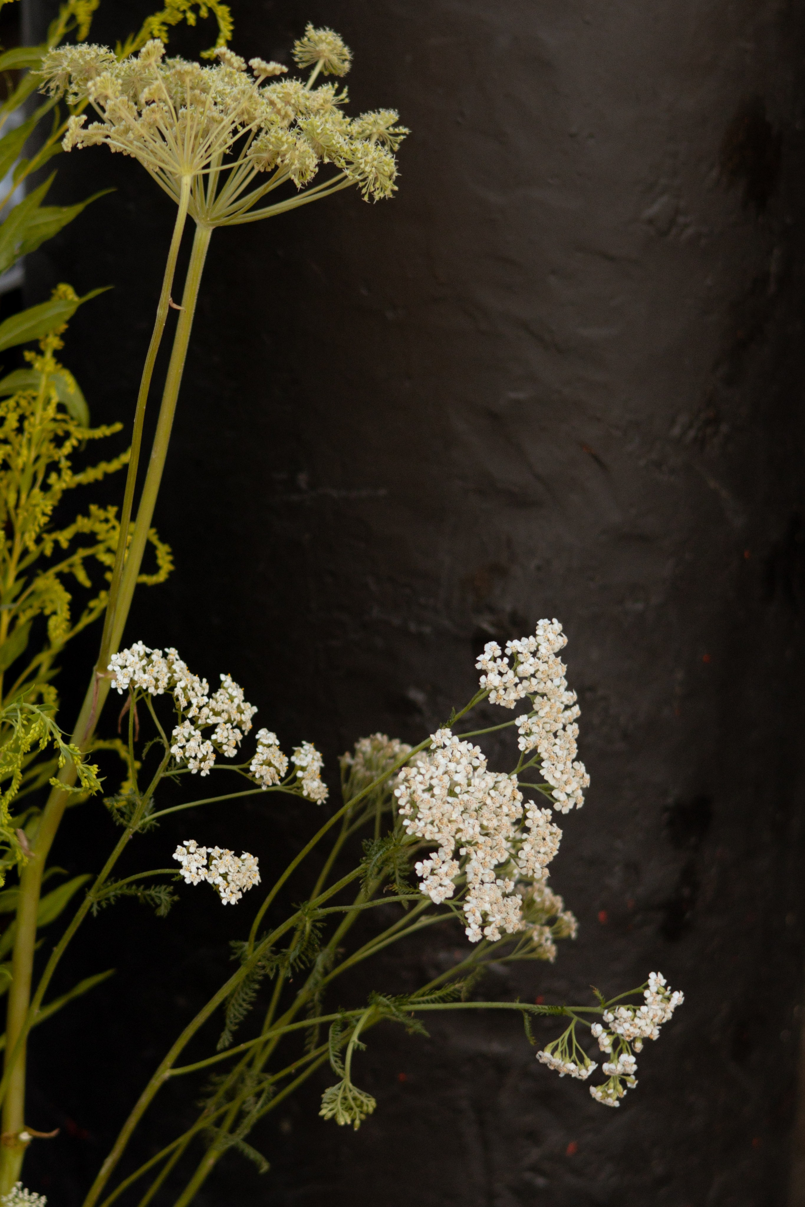 Никита & Катя. Оформление свадеб, декор свадеб Вера Маркова, Москва