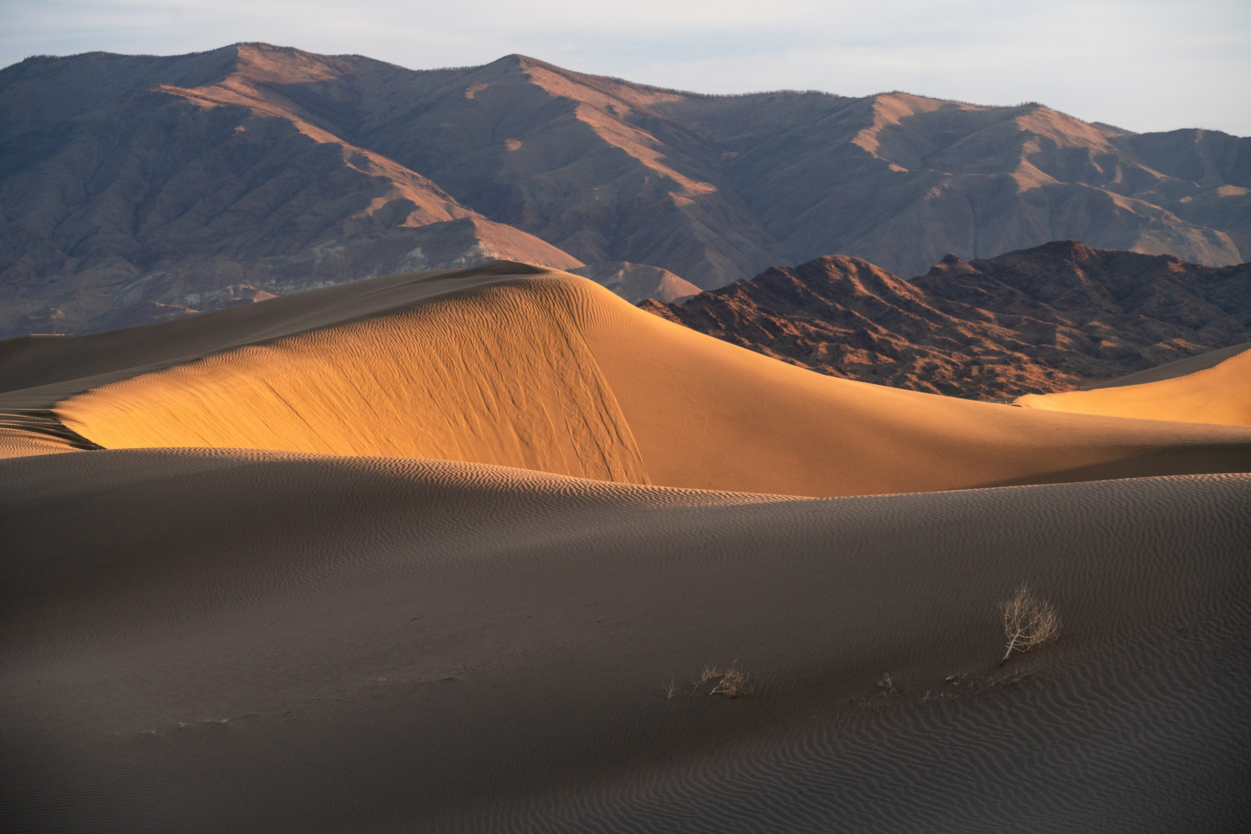 Тува. Фотограф в Красноярске Нерозя Александр. Пейзаж, природа, портрет