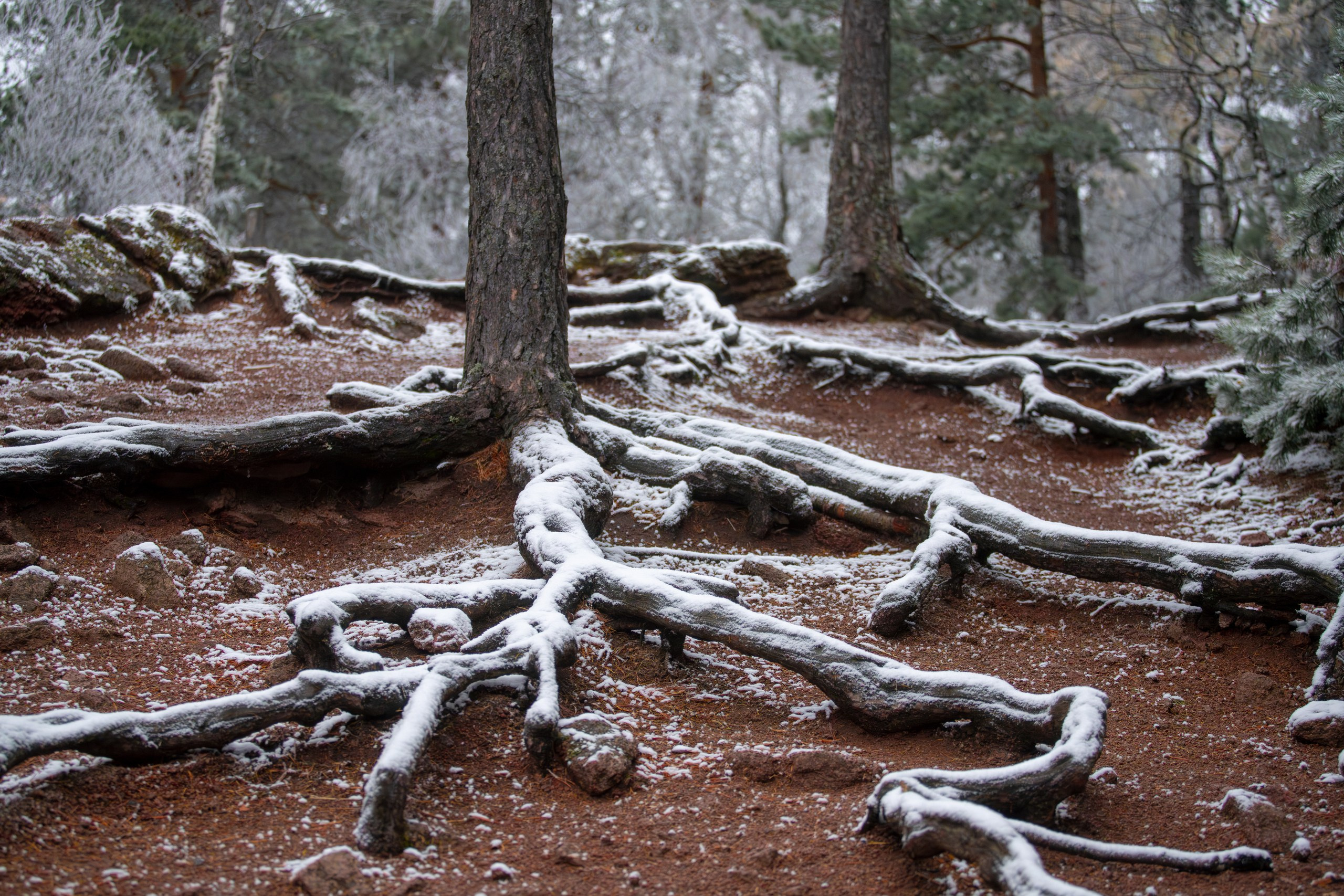Красноярские Столбы. Фотограф в Красноярске Нерозя Александр. Пейзаж, природа, портрет