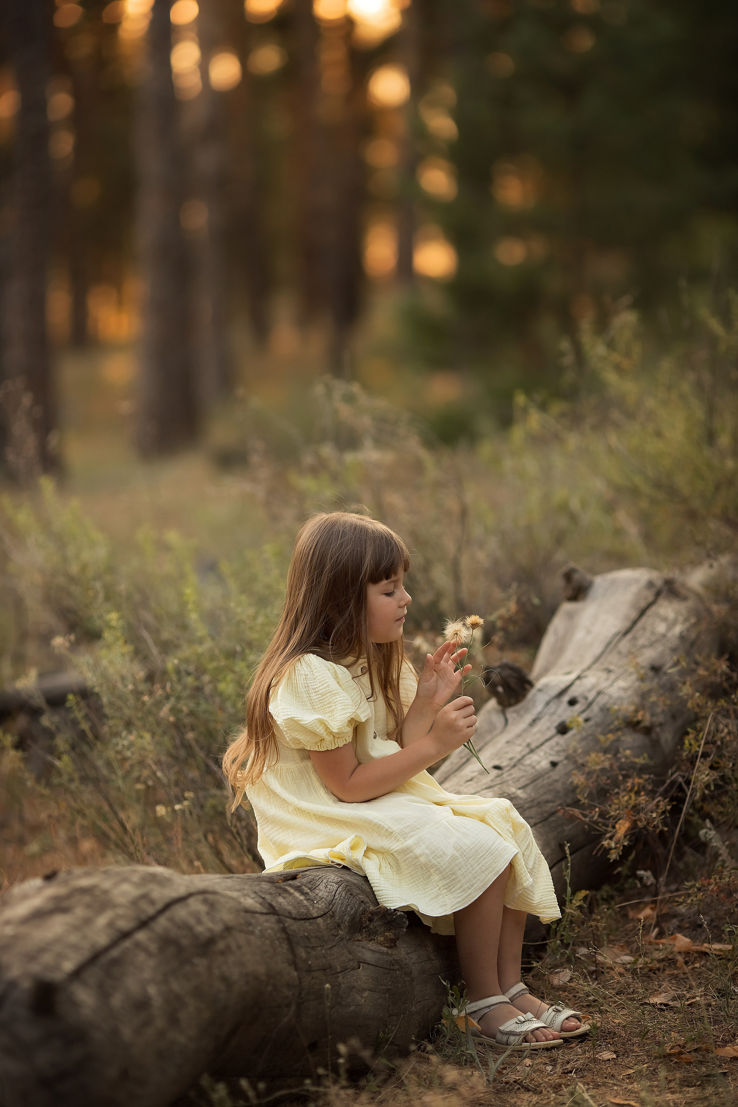 В летнем солнце. Семейный и детский фотограф в Саратове Полина Коткина