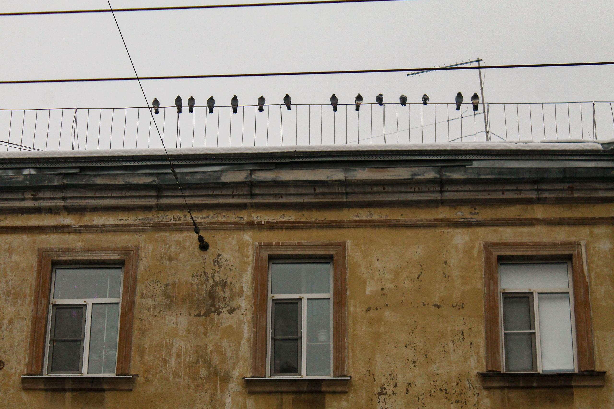 Фотограф Санкт-Петербург Надежда Бондаренко