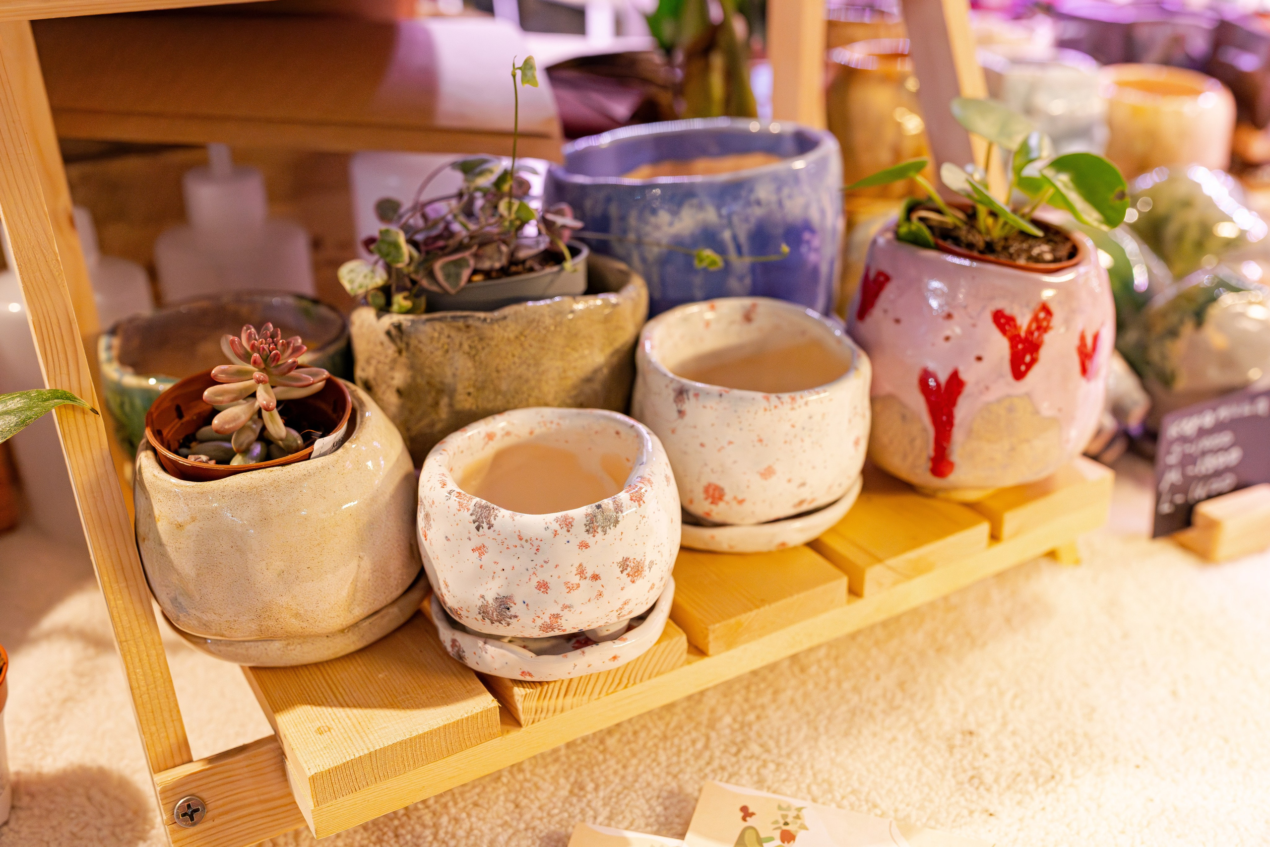 Growbox 1–2 марта. Александра Куликова фотограф, Москва