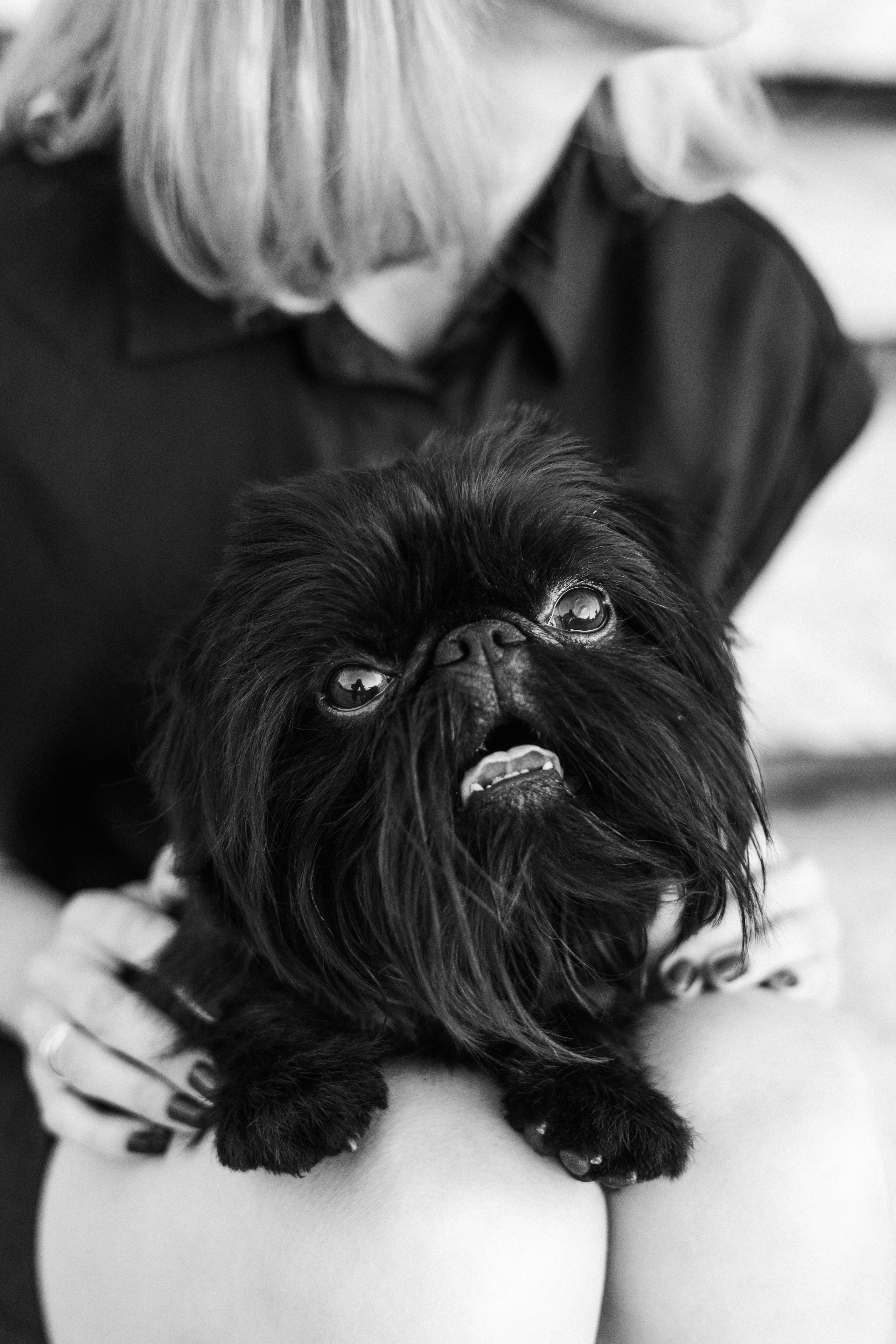 Ася и Кузя. Фотограф анималист Осипчикова Мария