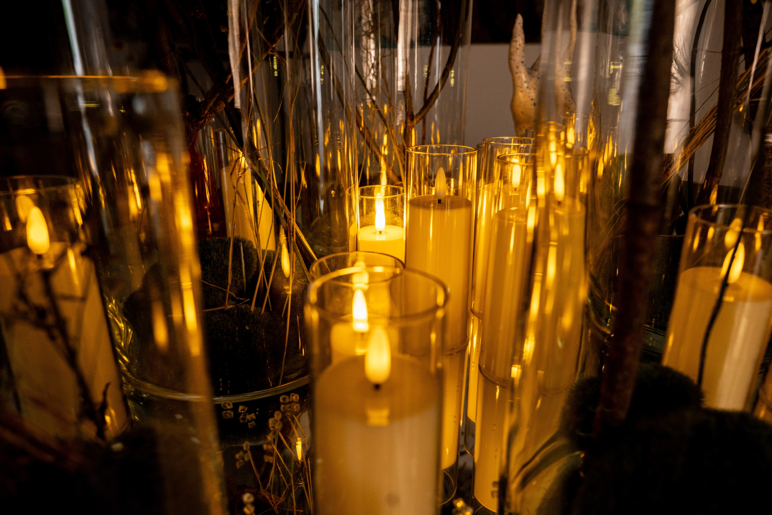 ЛЕС Авторский проект Юлии Якубович 04.11.2025. Портретный и репортажный фотограф в Москве Разуменко Роман