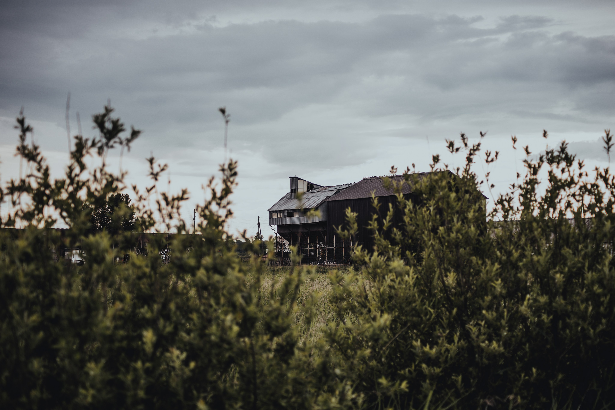 The Barn of Shadows. Whoii art