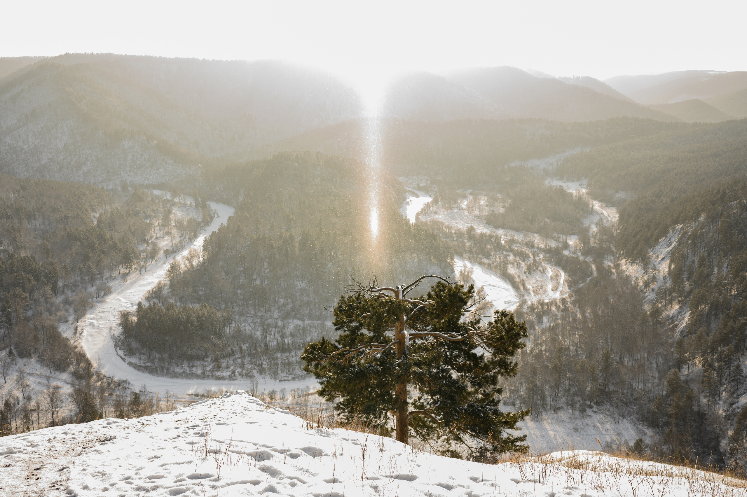 Даша и Чиутика. Свадебный и Семейный фотограф в Абакане, Красноярске