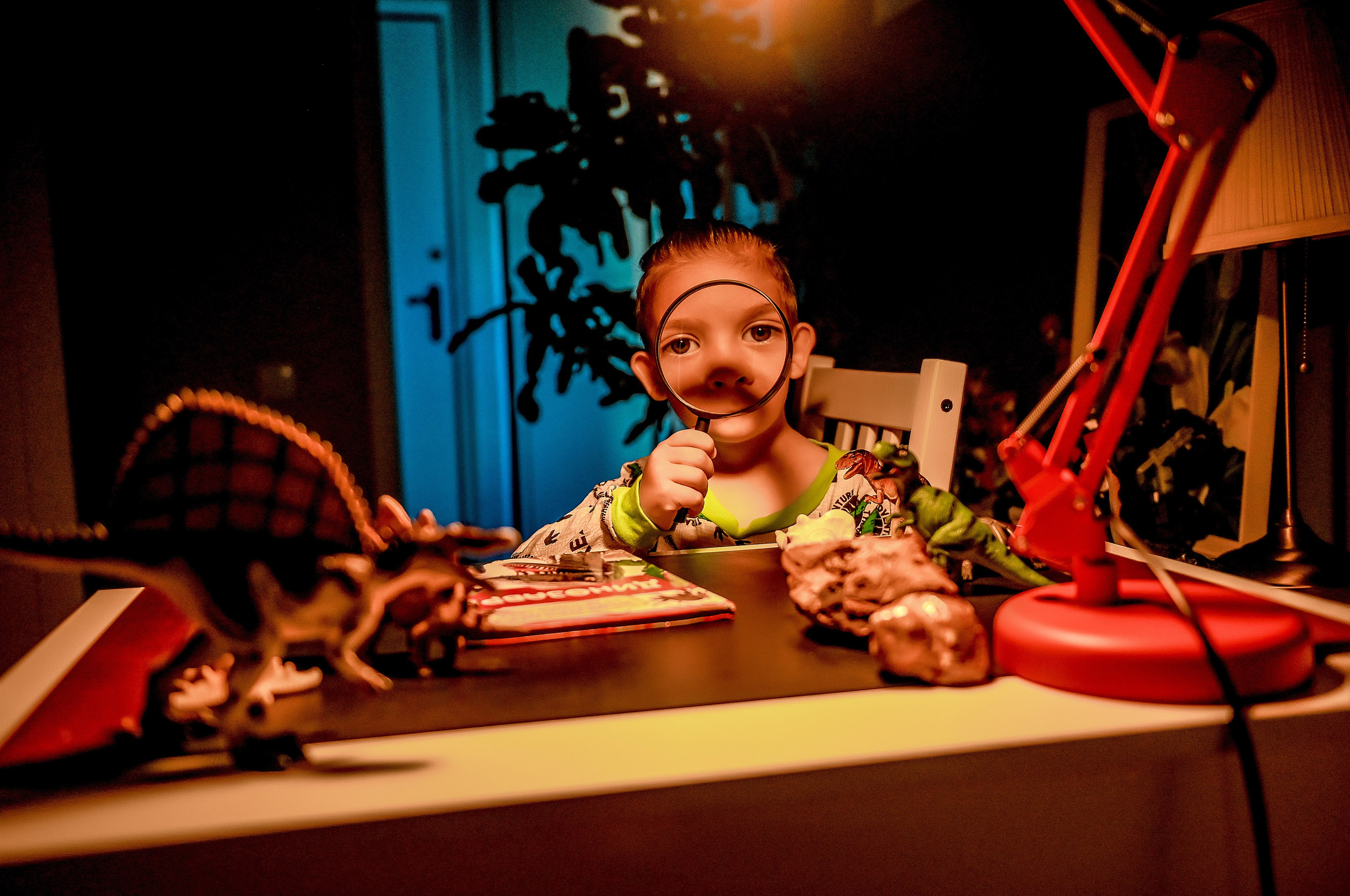 Детская домашняя кабинет натуралиста. Свадебный, семейный, детский, контент фотограф в Омске Максим Ильин