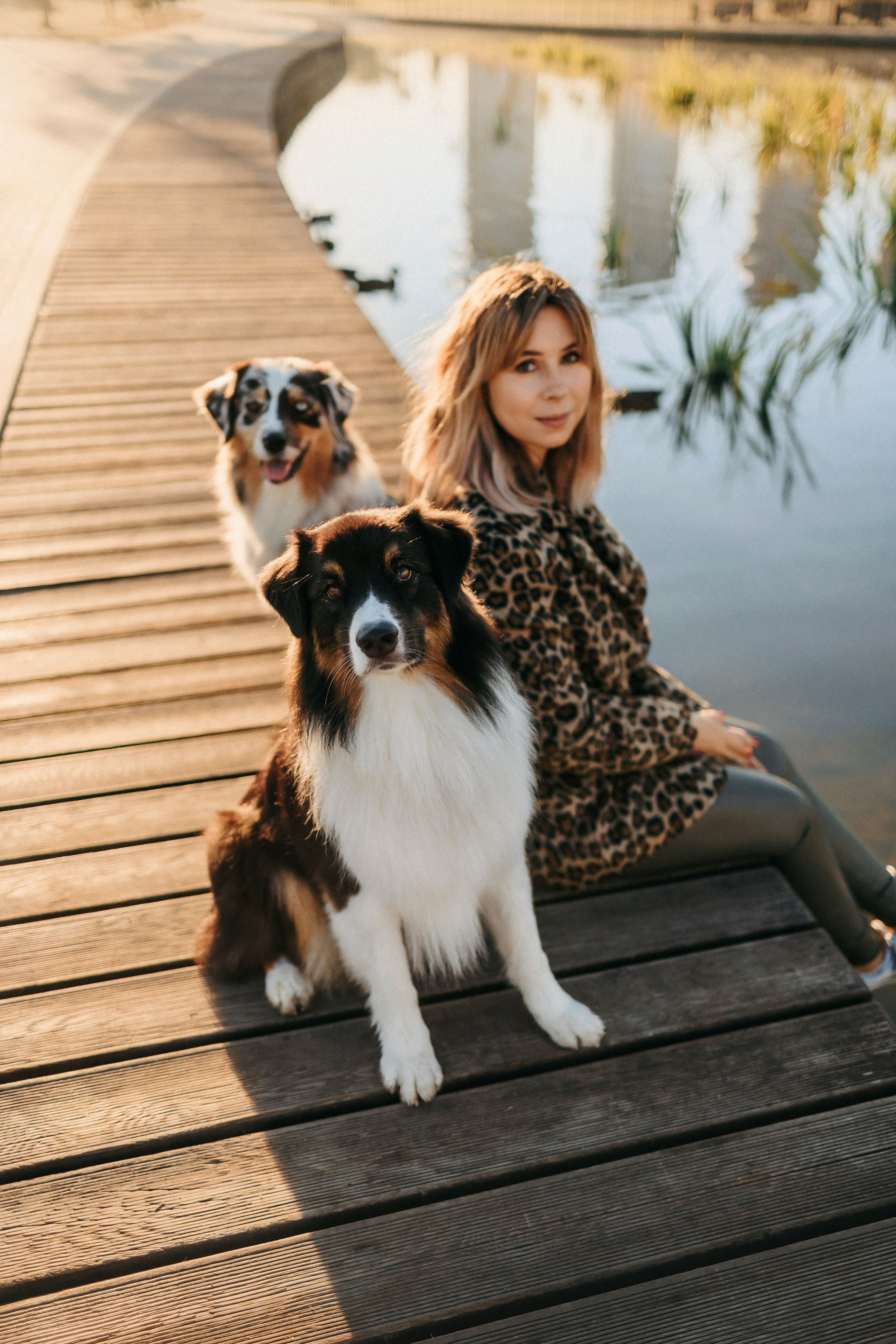 Аня, Чарли и Ева. Фотограф-анималист Елена Радченко, Москва