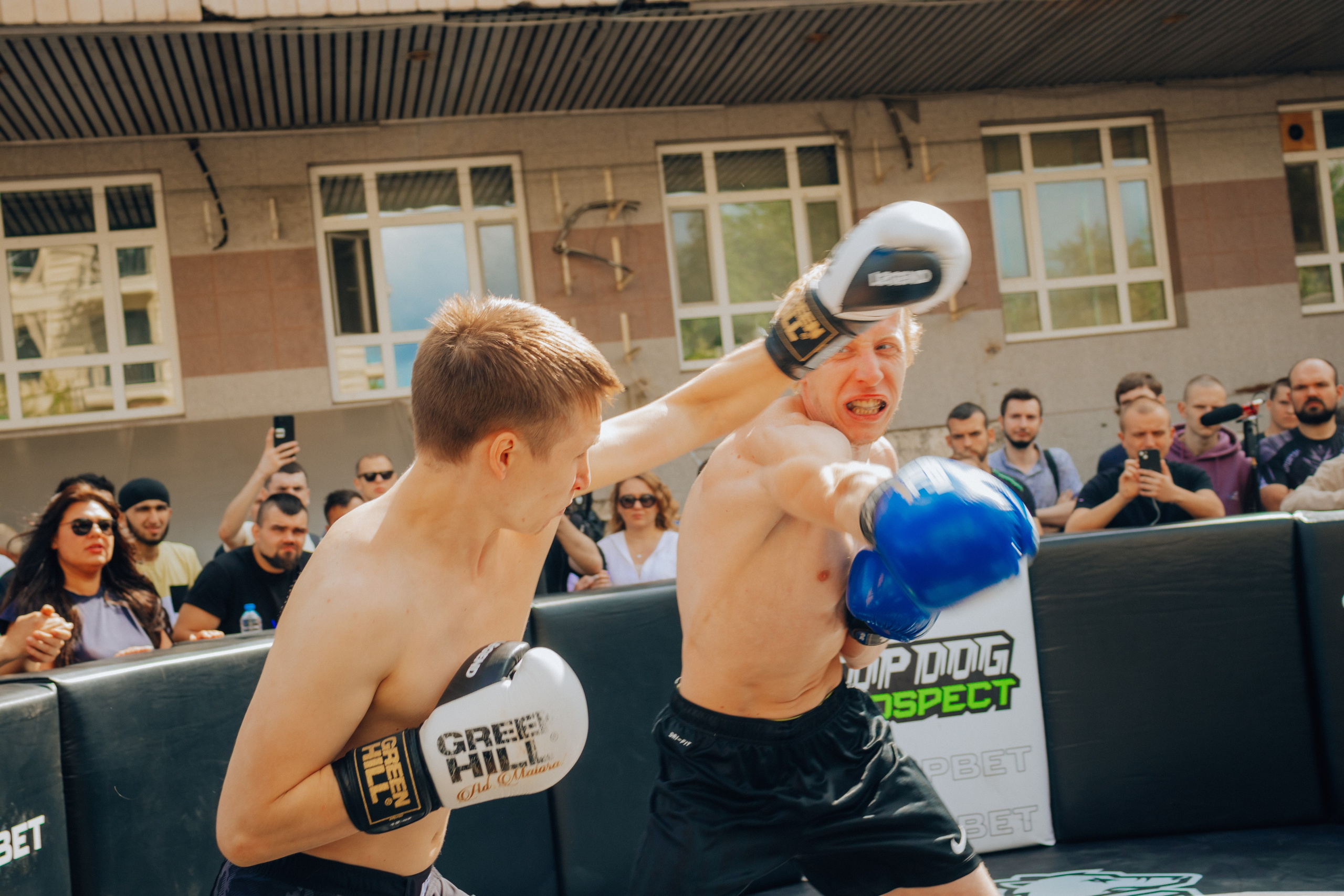 Открытый ринг. Анастасия Тен