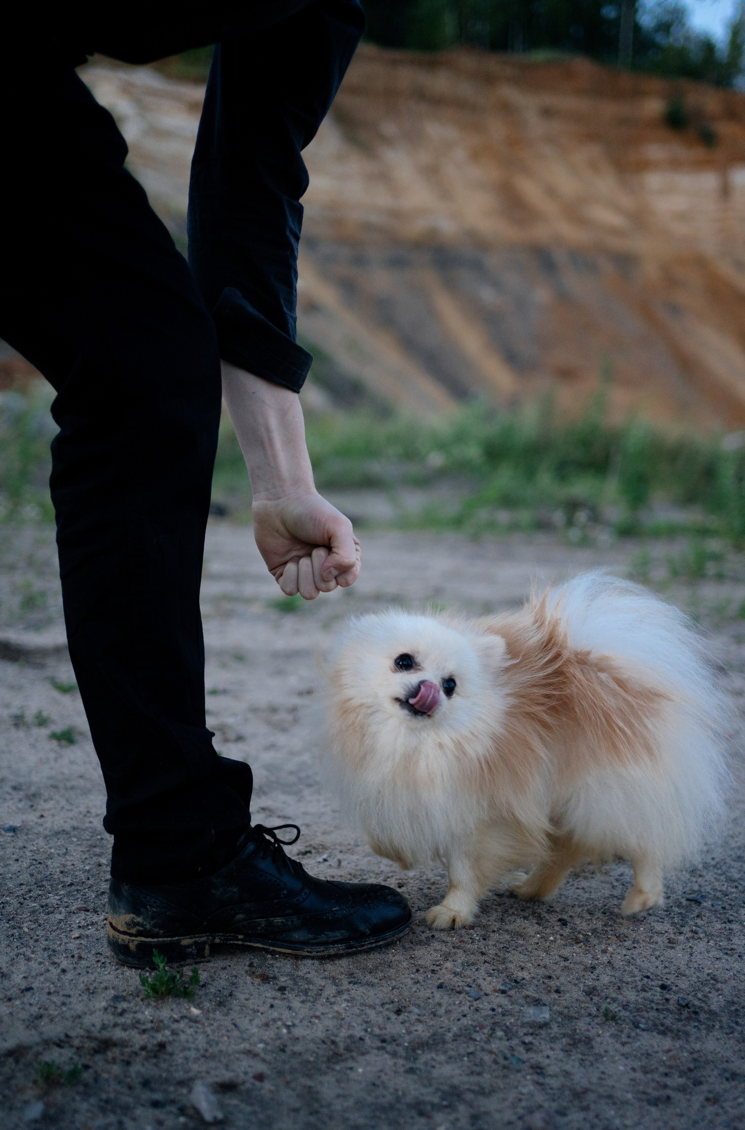 Женя, Паша и Бурф. Елена Чернега свадебный и коммерческий фотограф