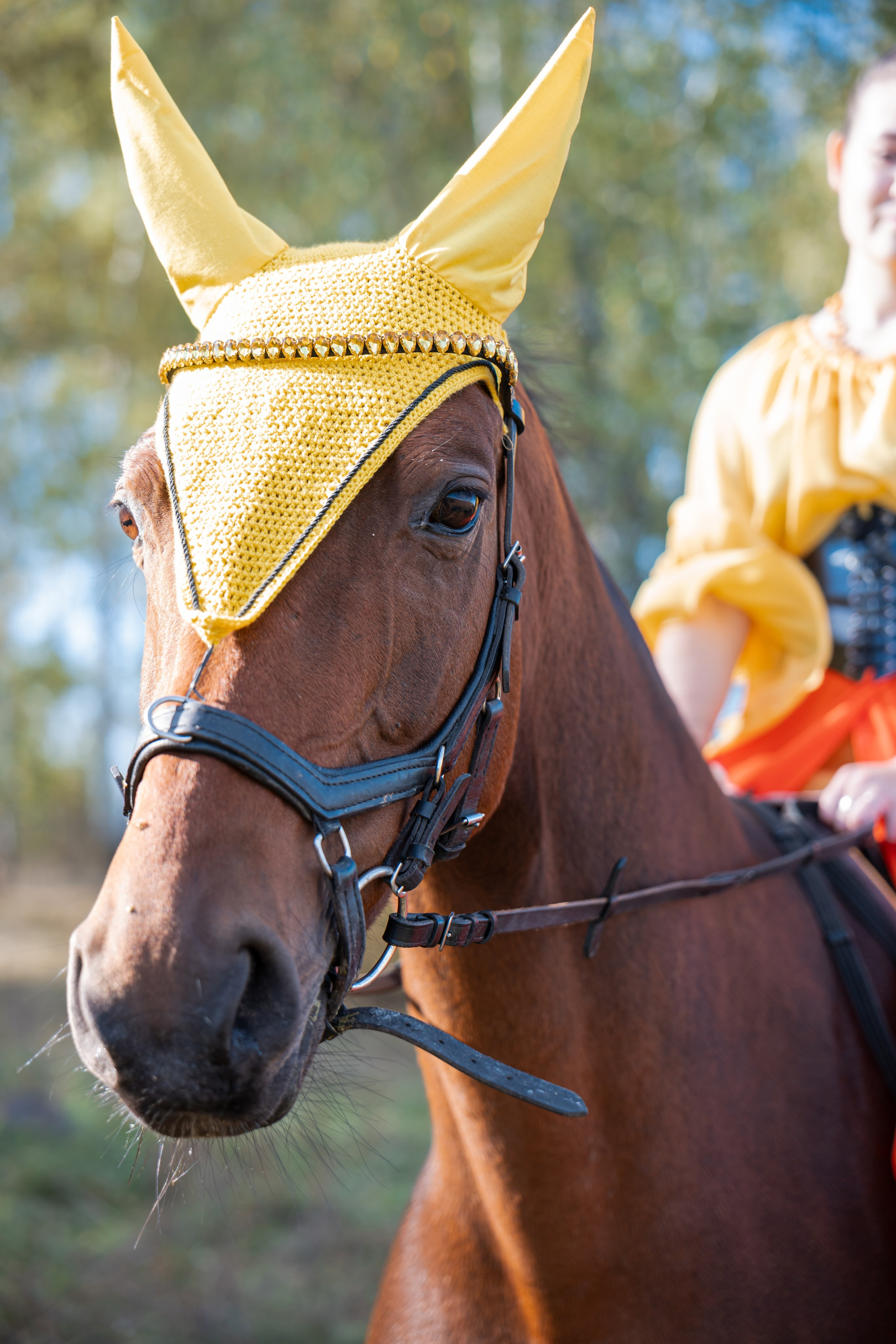 Фотосессия с лошадьми