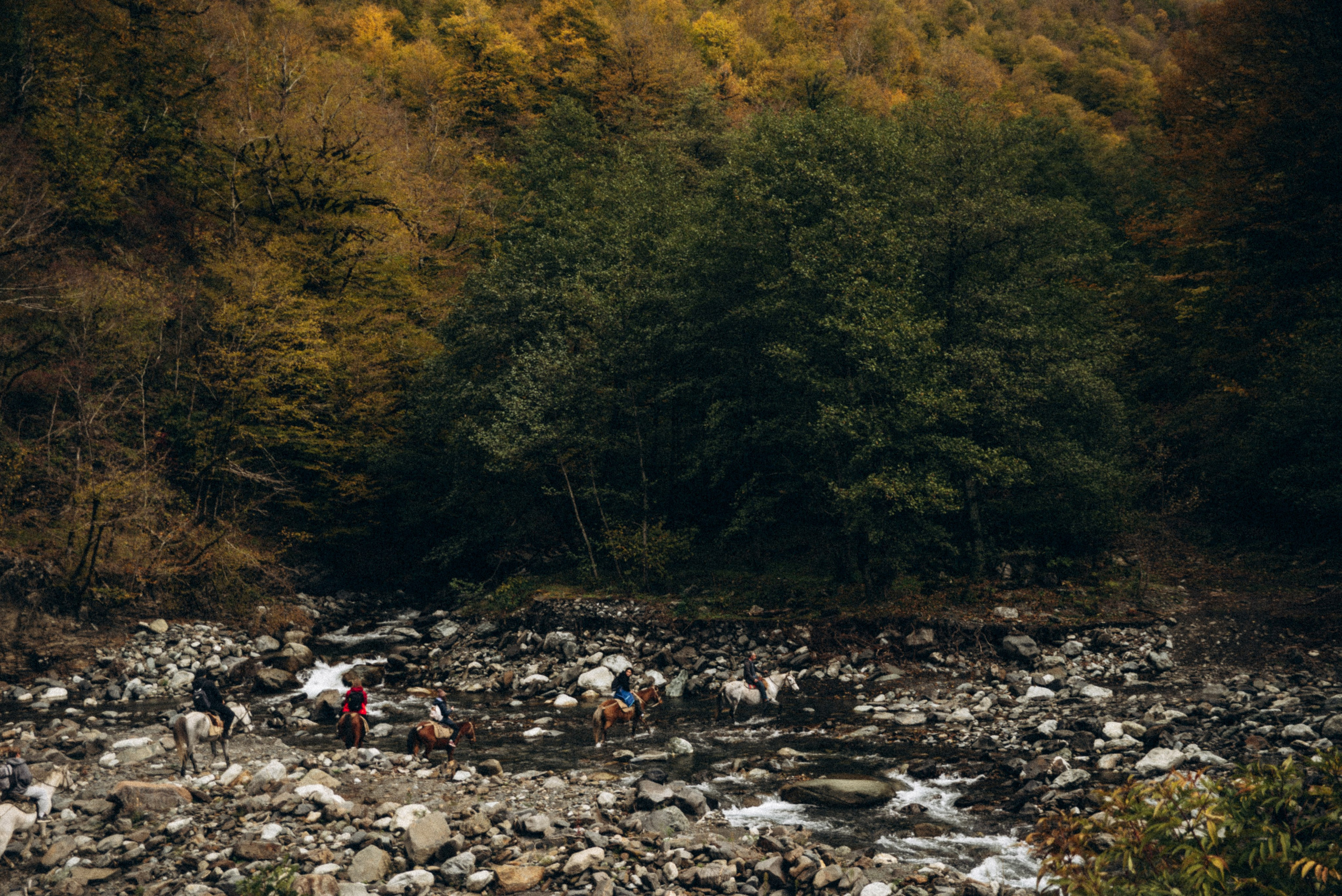 Конный поход 🇬🇪 «PVD Club». Anita_photo