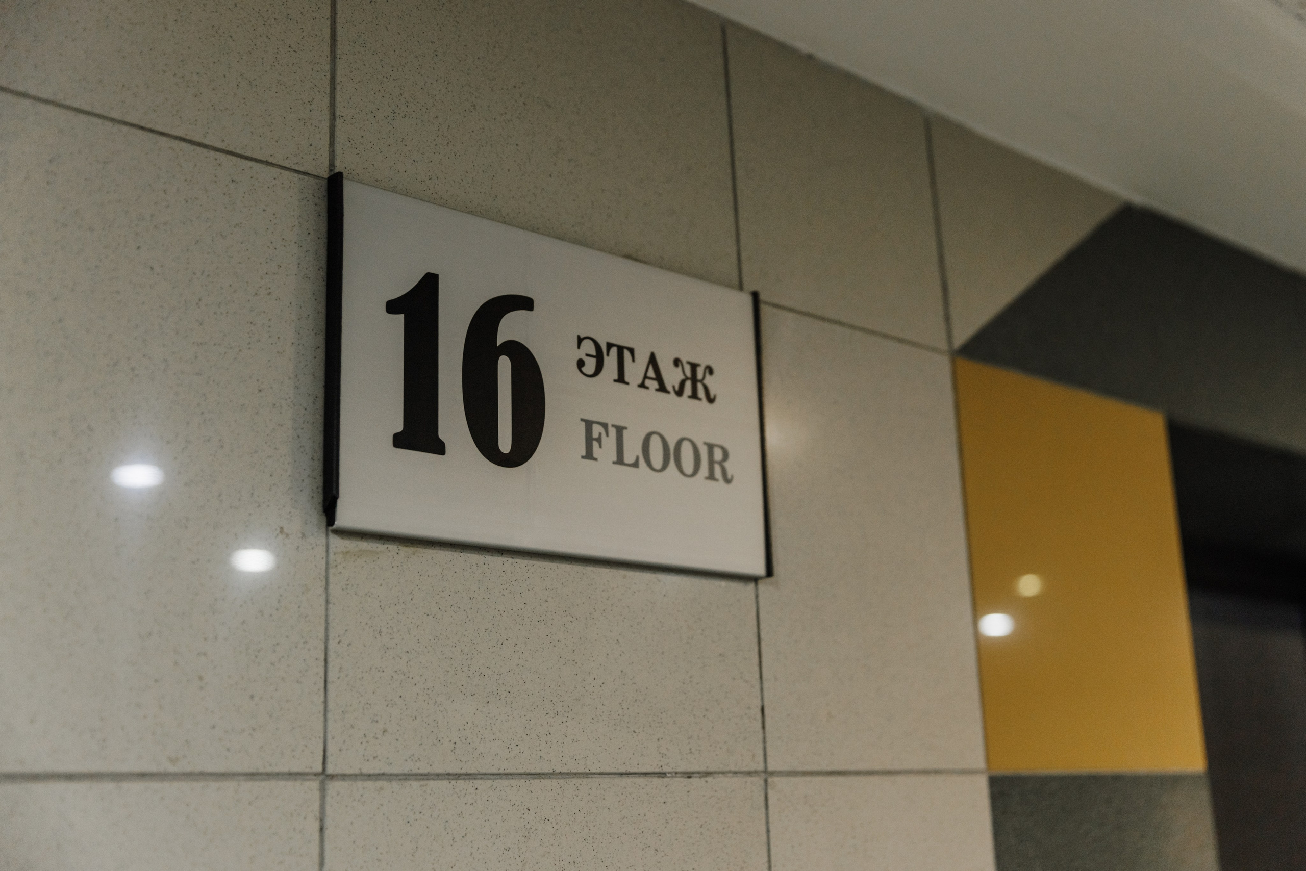 Дмитрий и Ксения. Фотограф Москва Шептаев Артём