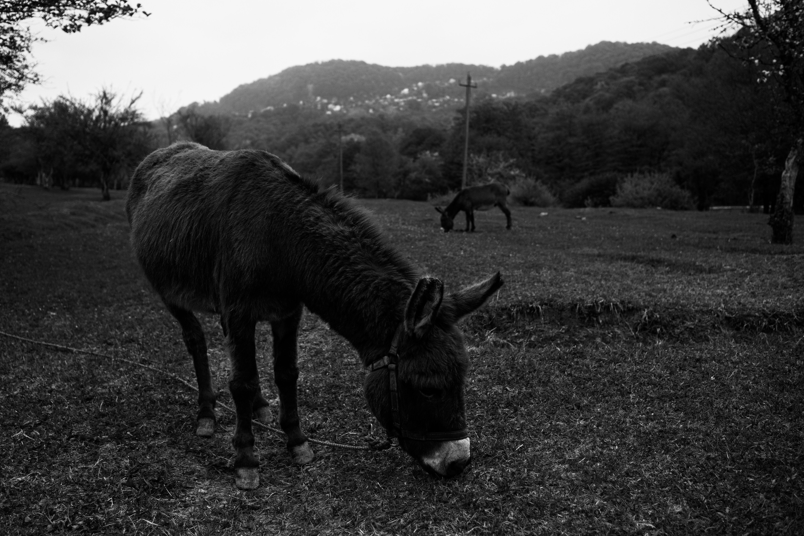 Сочи, 2022. Портретный фотограф в Москве Евгения Яковенко