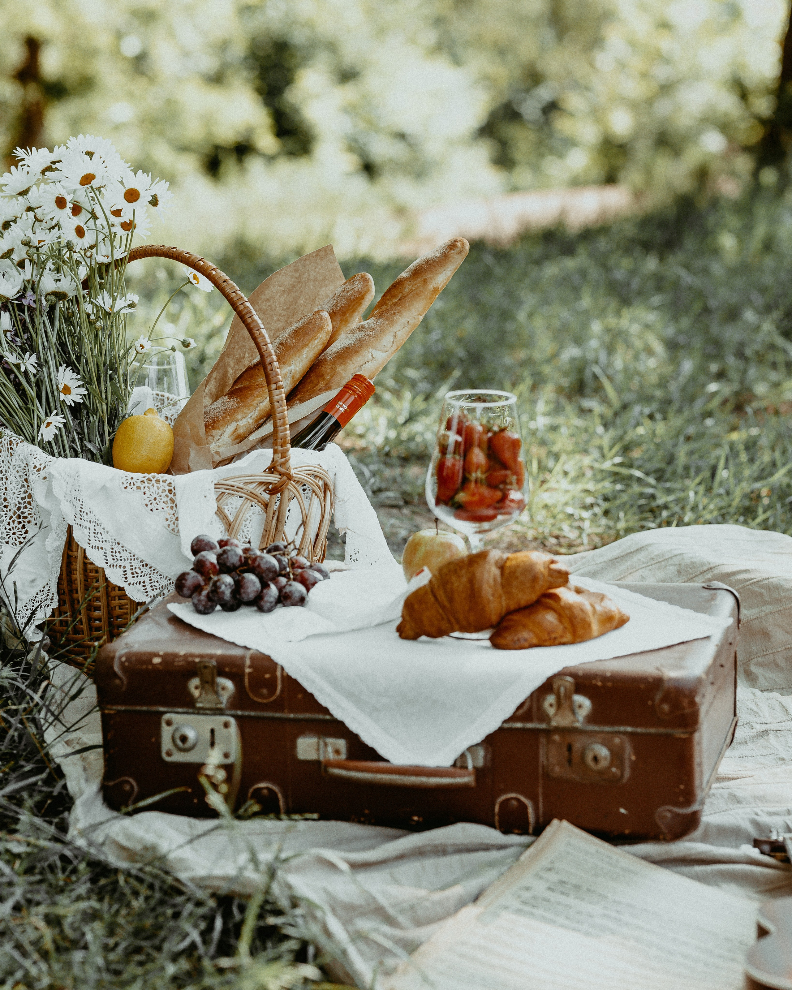 Прованс. Алена Русских — фотограф и графический дизайнер в Ростове-на-дону
