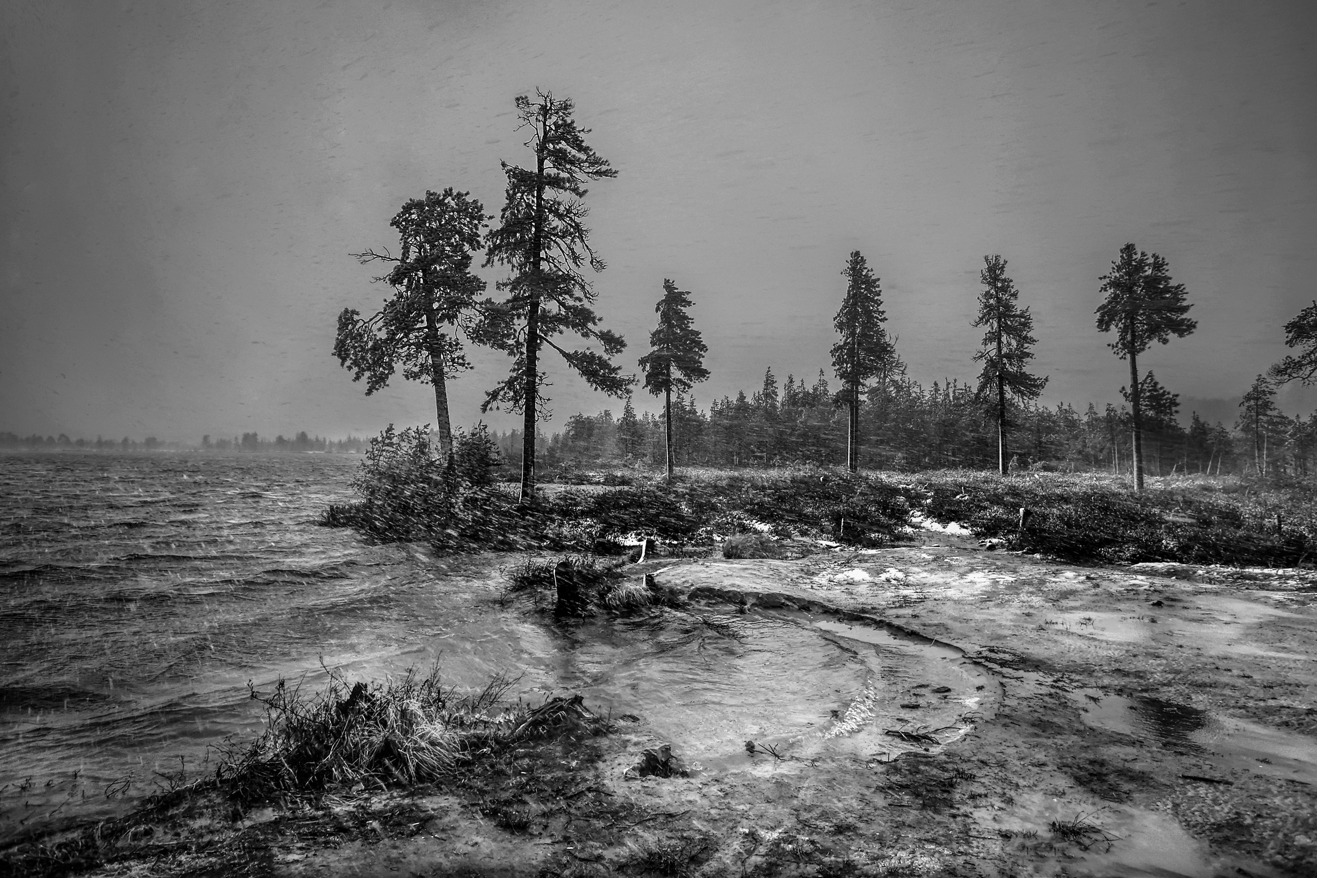 Черно-белые пейзажи. Фотограф Татьяна Борисова