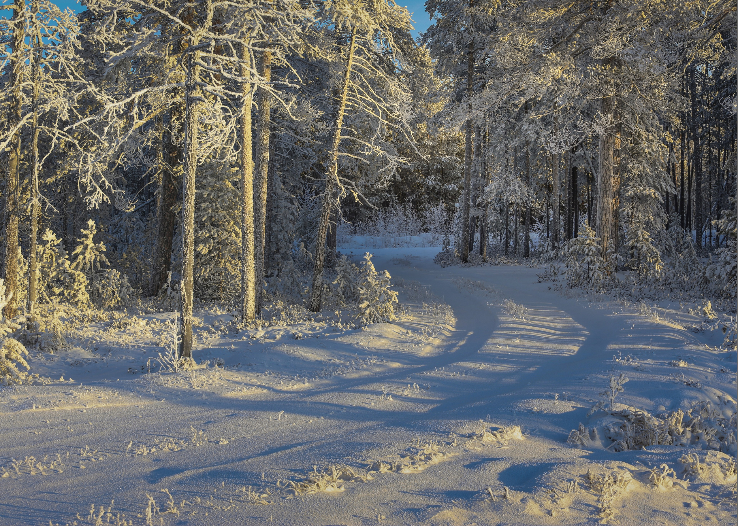 ПЕЙЗАЖИ. Фотограф Татьяна Борисова