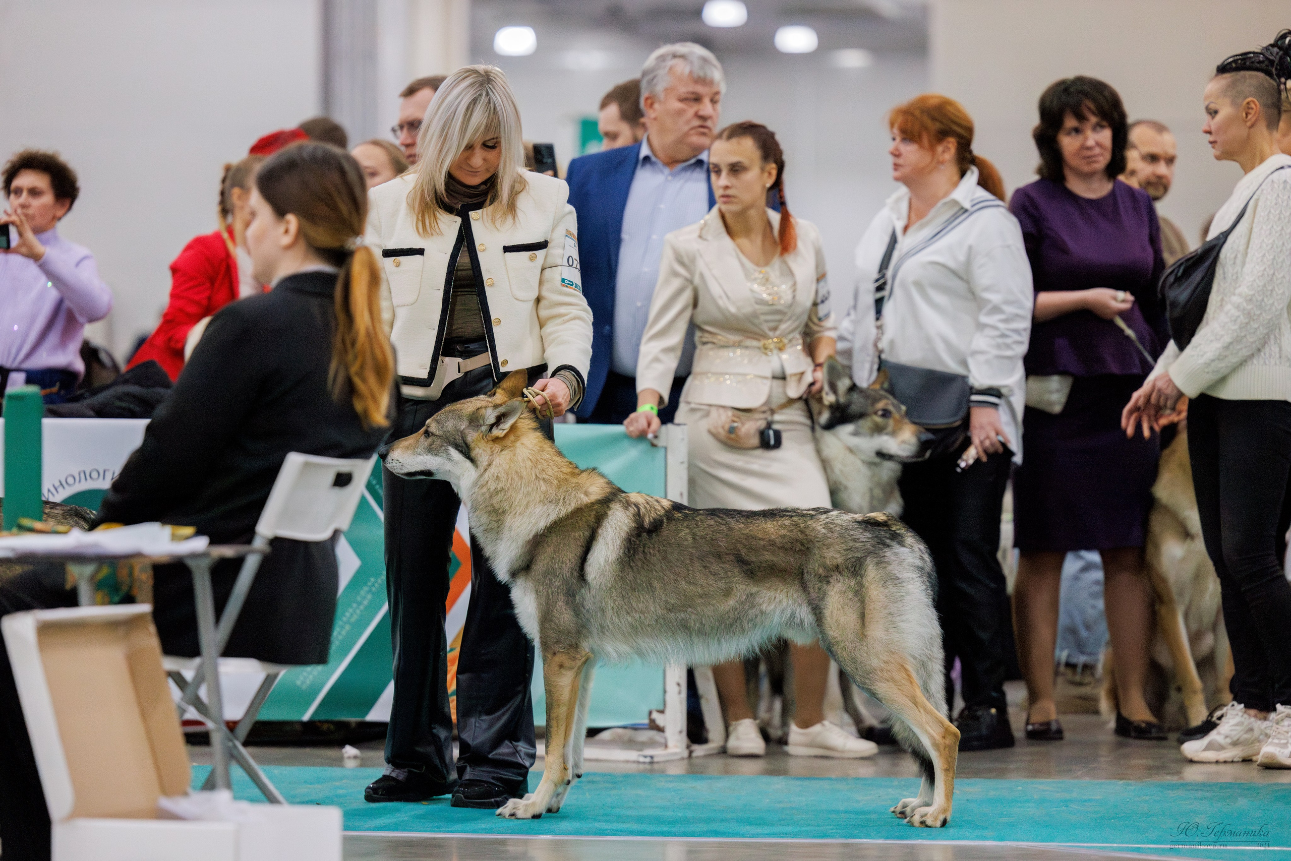 Евразия 16-17.11.2024. Фотограф-анималист Юлия Германика