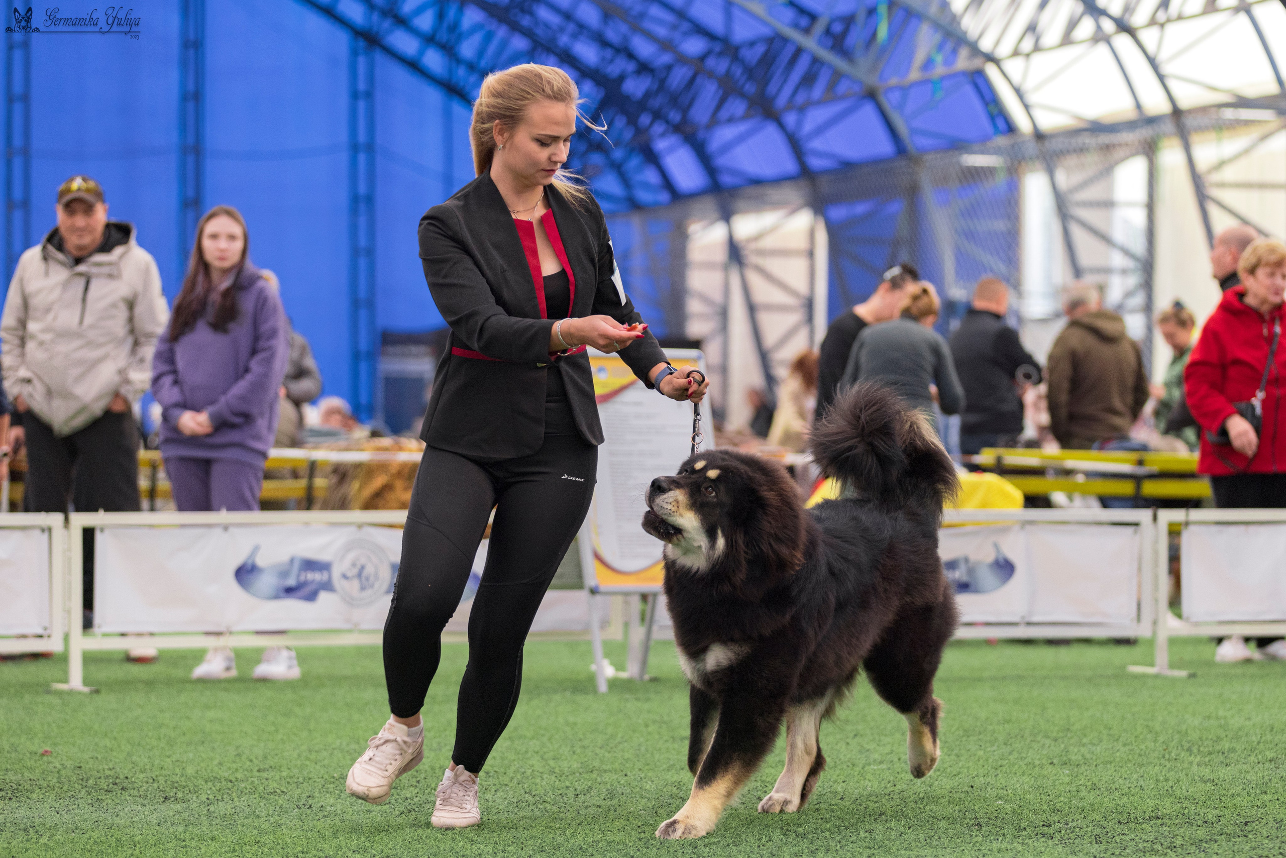 Ташкент 6-8.10.2023 + Алматы 14-15.10.2023. Фотограф-анималист Юлия Германика