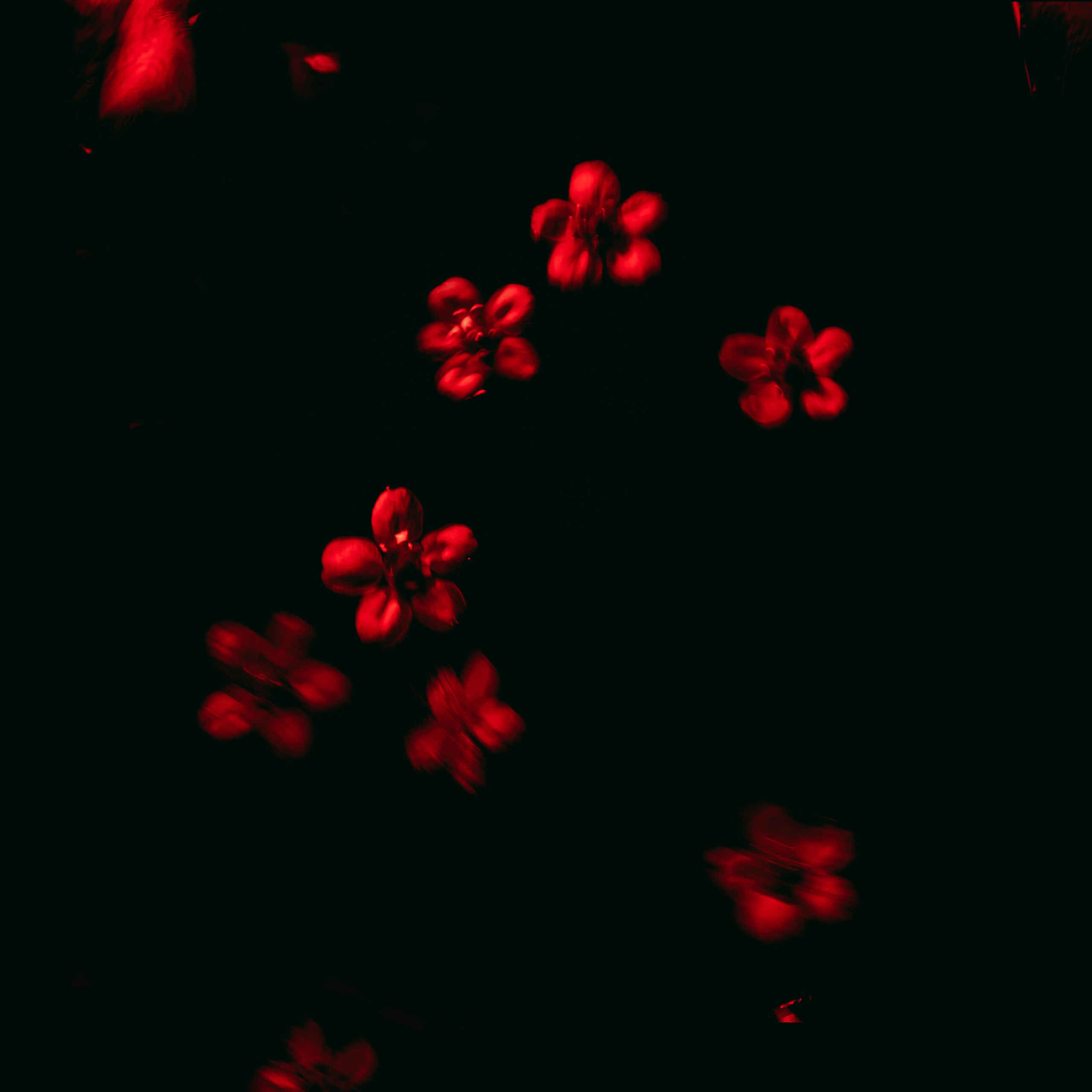 Фотограф Грачев Никита