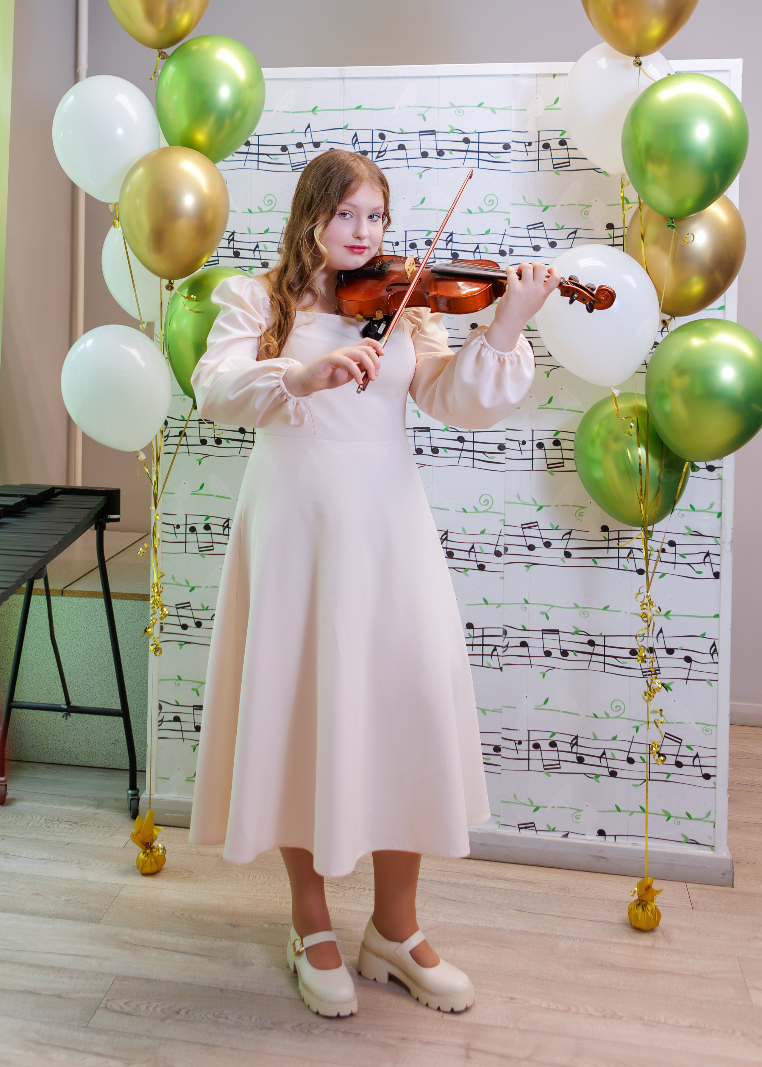 Вручение дипломов в Детской музыкальной школе имени Н. П. Будашкина. Выпускные альбомы и школьный фотограф в Подольске, Троицке, Щербинке, Москве и Московской области