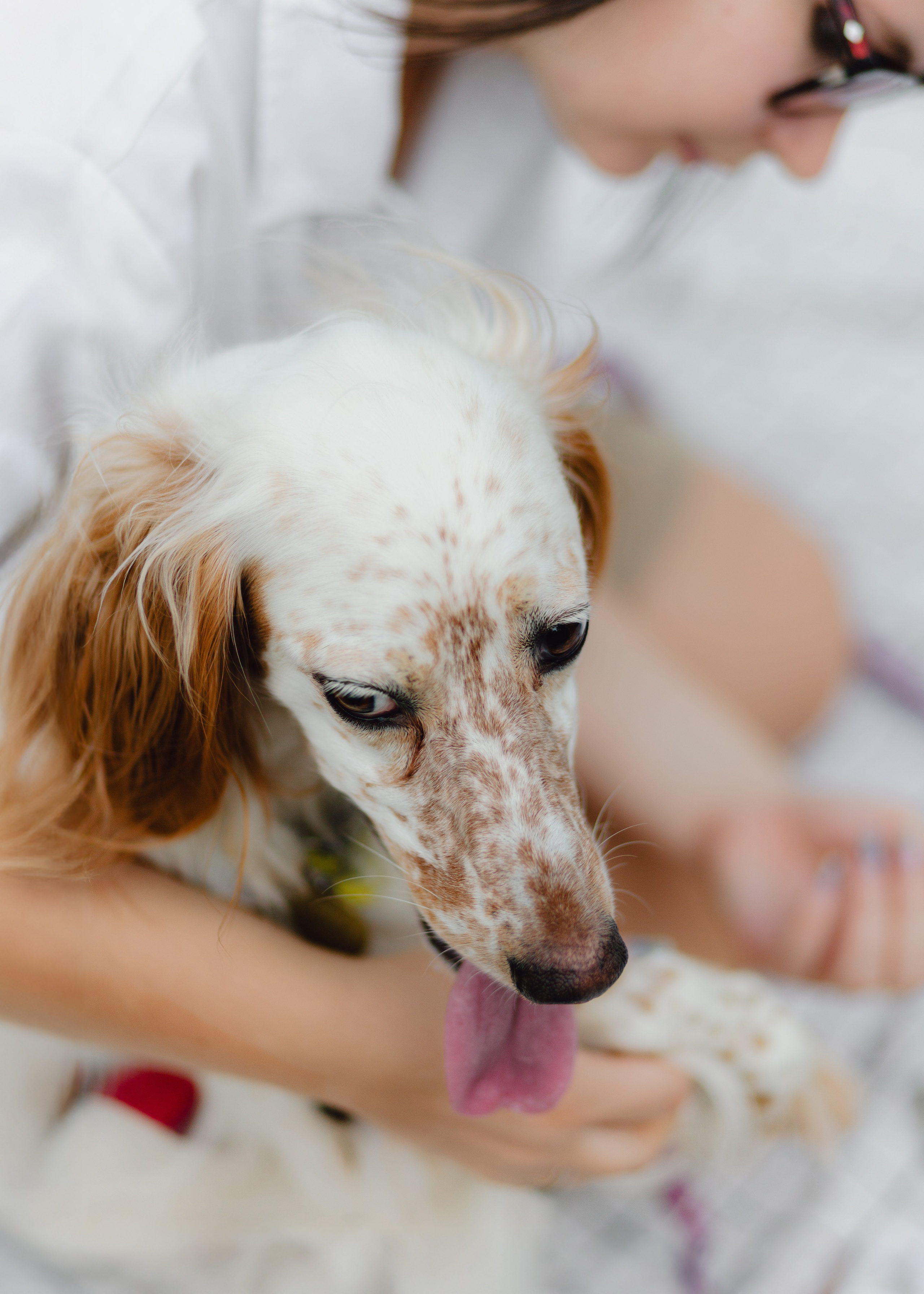 Pauline & Her Beloved Mañana. Barbara Isaeva