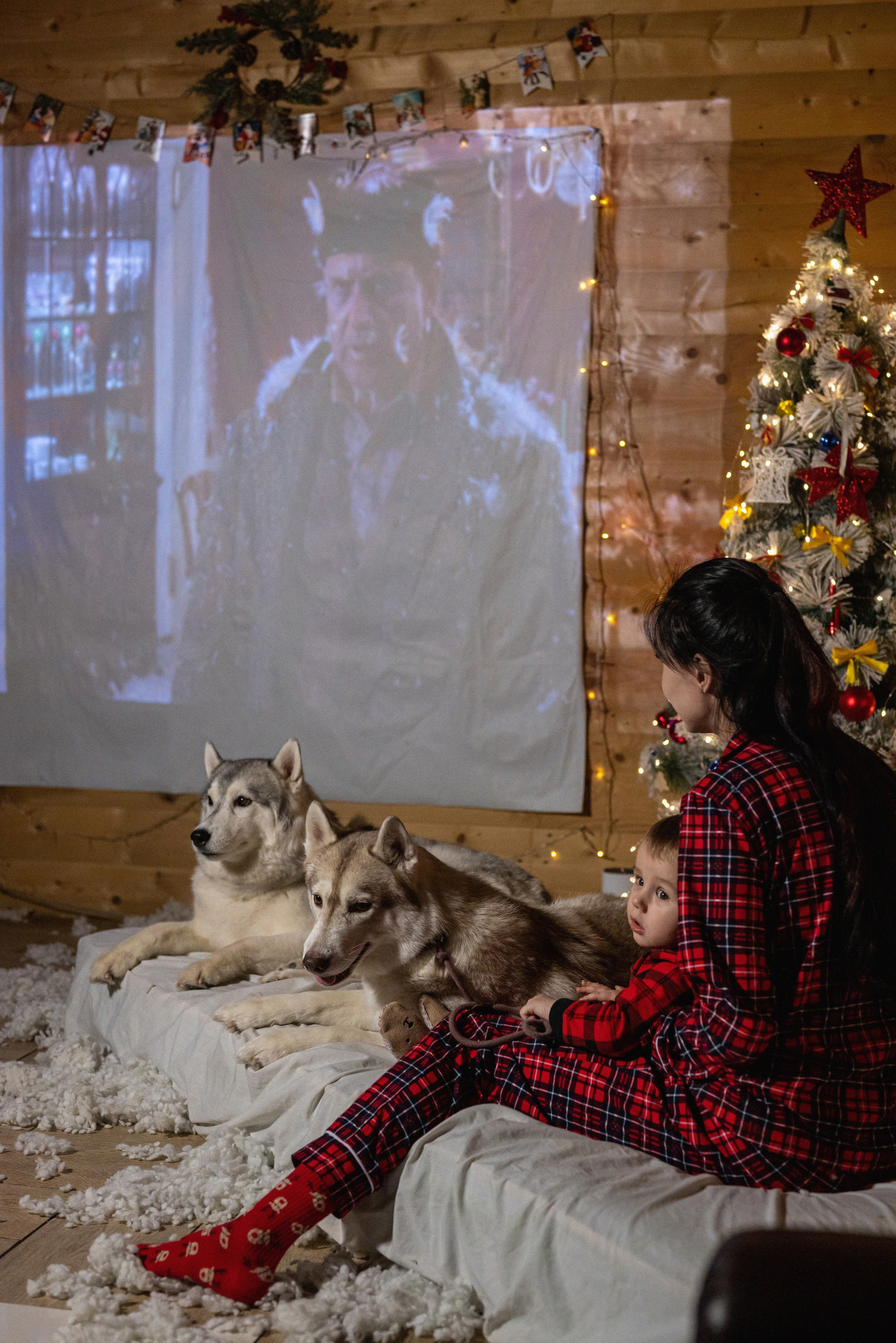 Фотопроект с хаски 2024 г. Фотограф в городе Салават