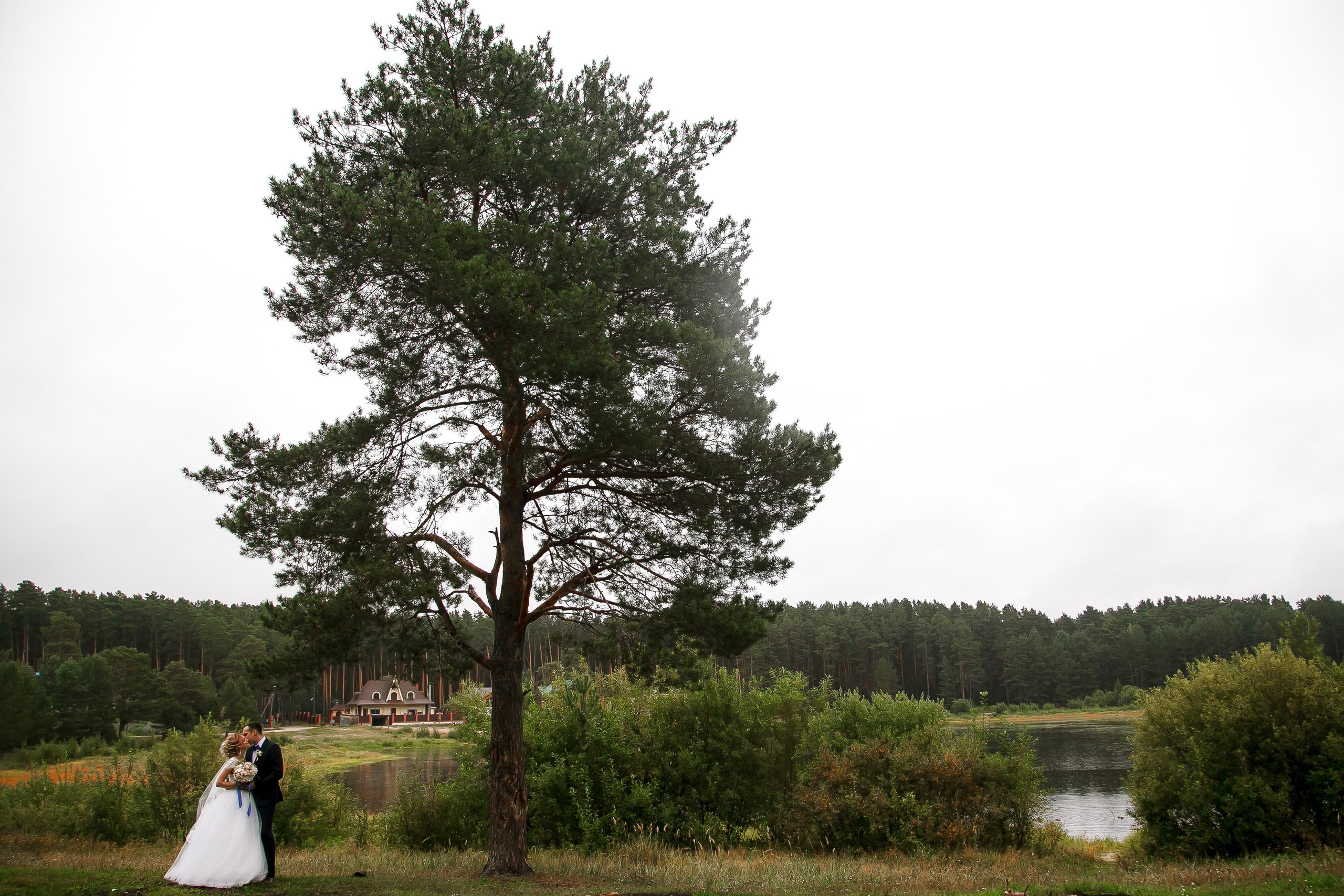 Свадебный. Фотограф в Томске Юлия Постнова