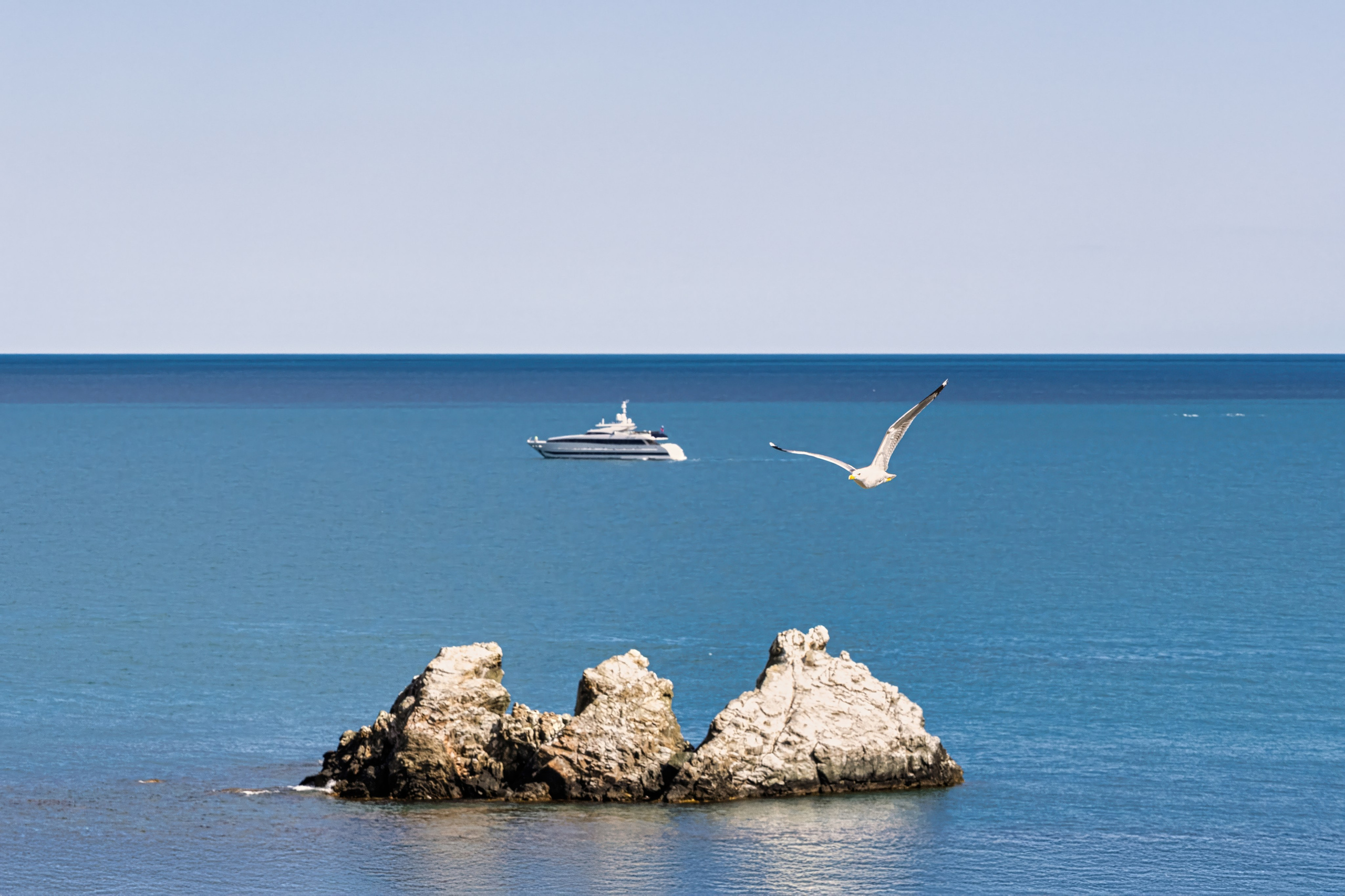 Крым, Утес, 2021 год. Фотограф Никифоров-Гордеев Сергей. Москва и МО