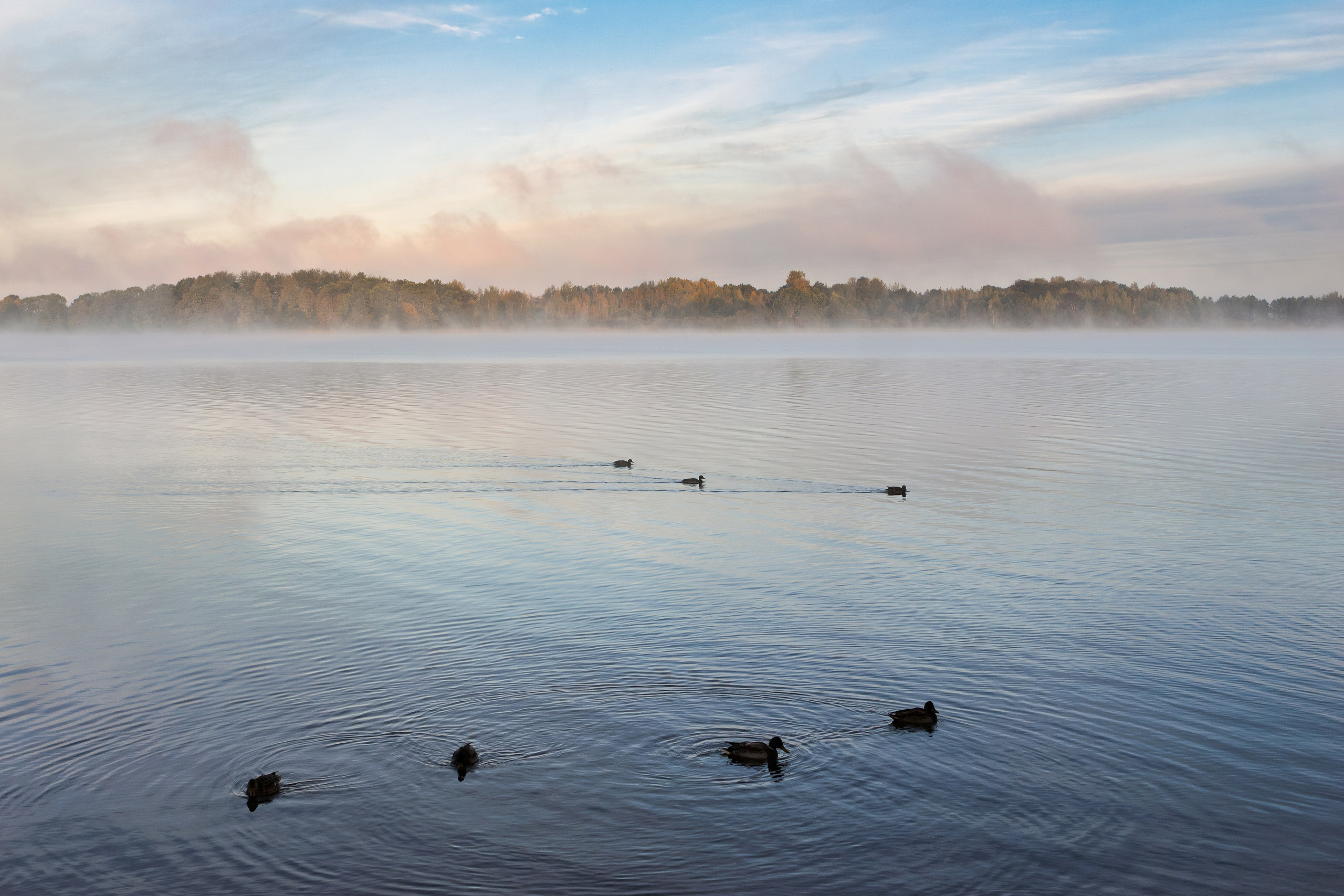 Голубые озера, Псковская область. Октябрь 2024. Фотограф Никифоров-Гордеев Сергей. Москва и МО