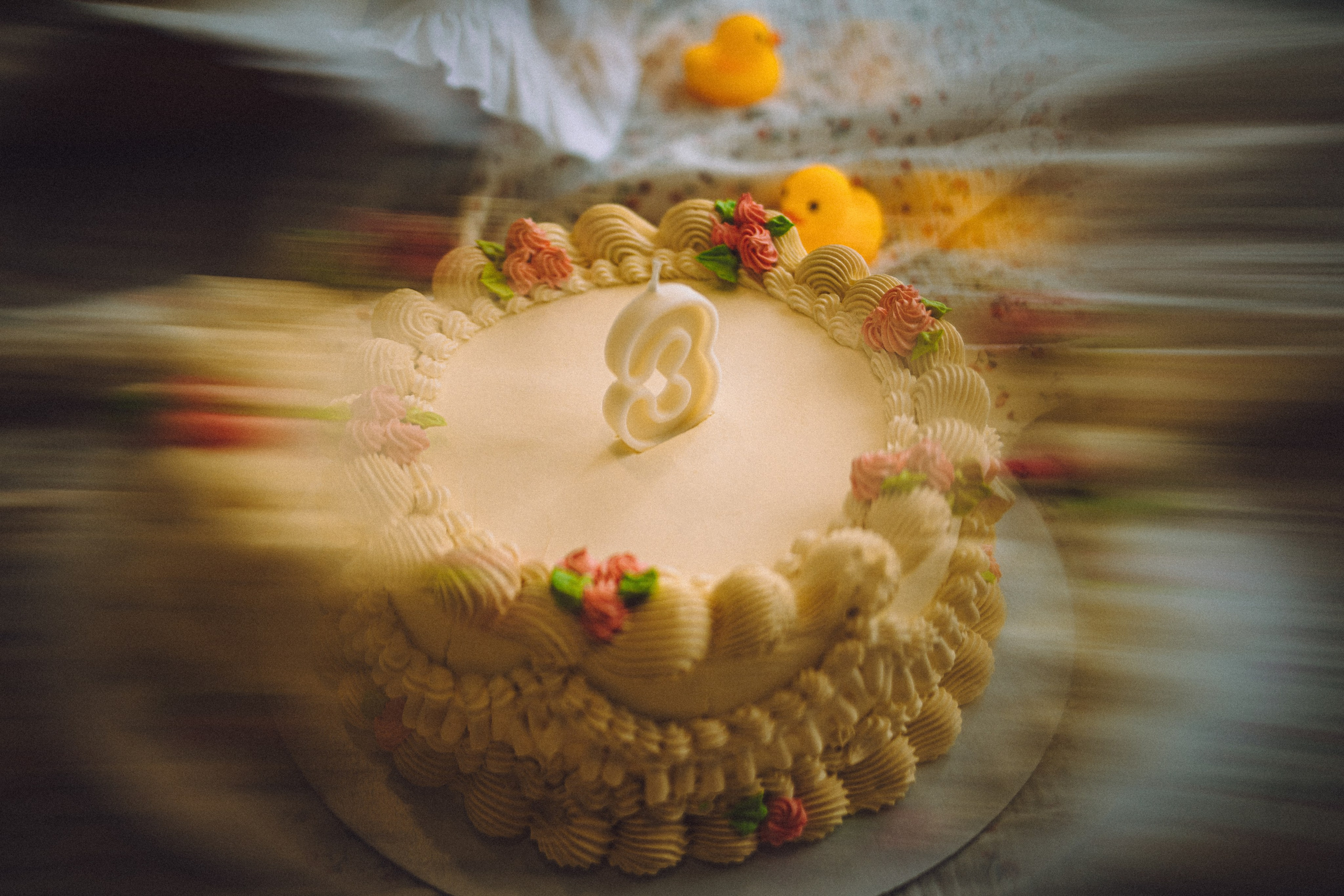 День Рождения пуделя Глаши