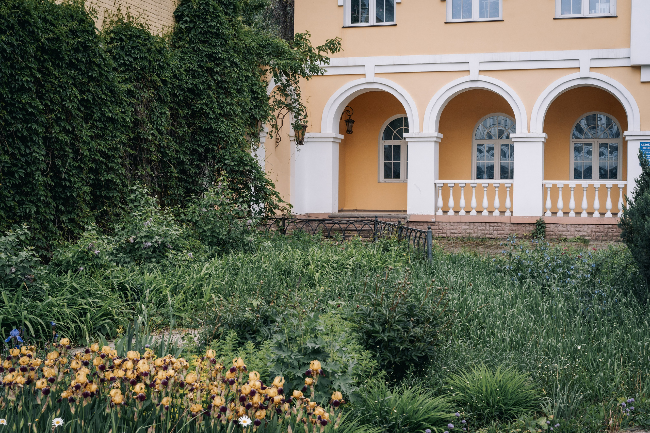 Места для съёмок. Фотограф Александр Решня