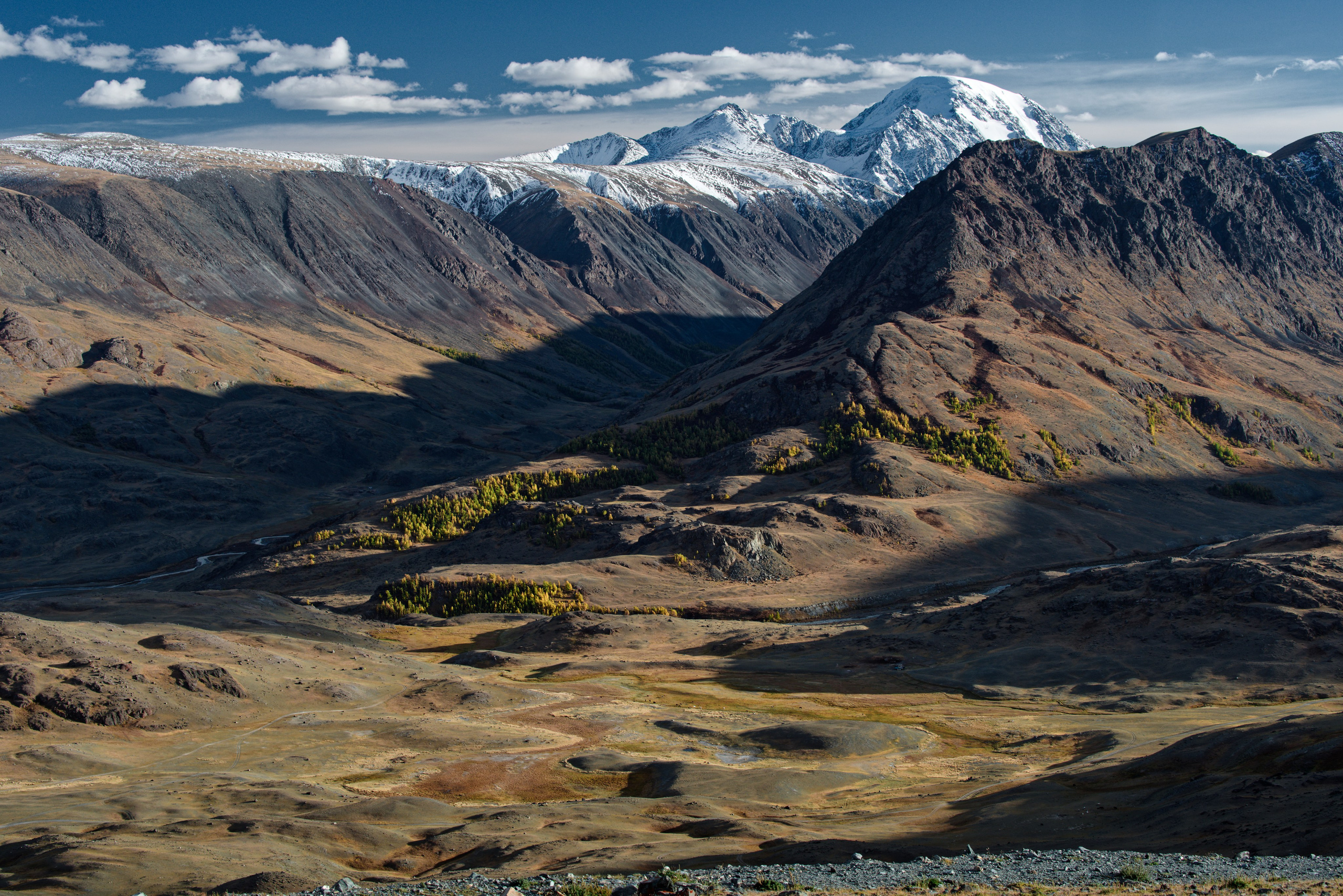 Вид на склоны ущелья Аккол с деревьями и горами на заднем плане