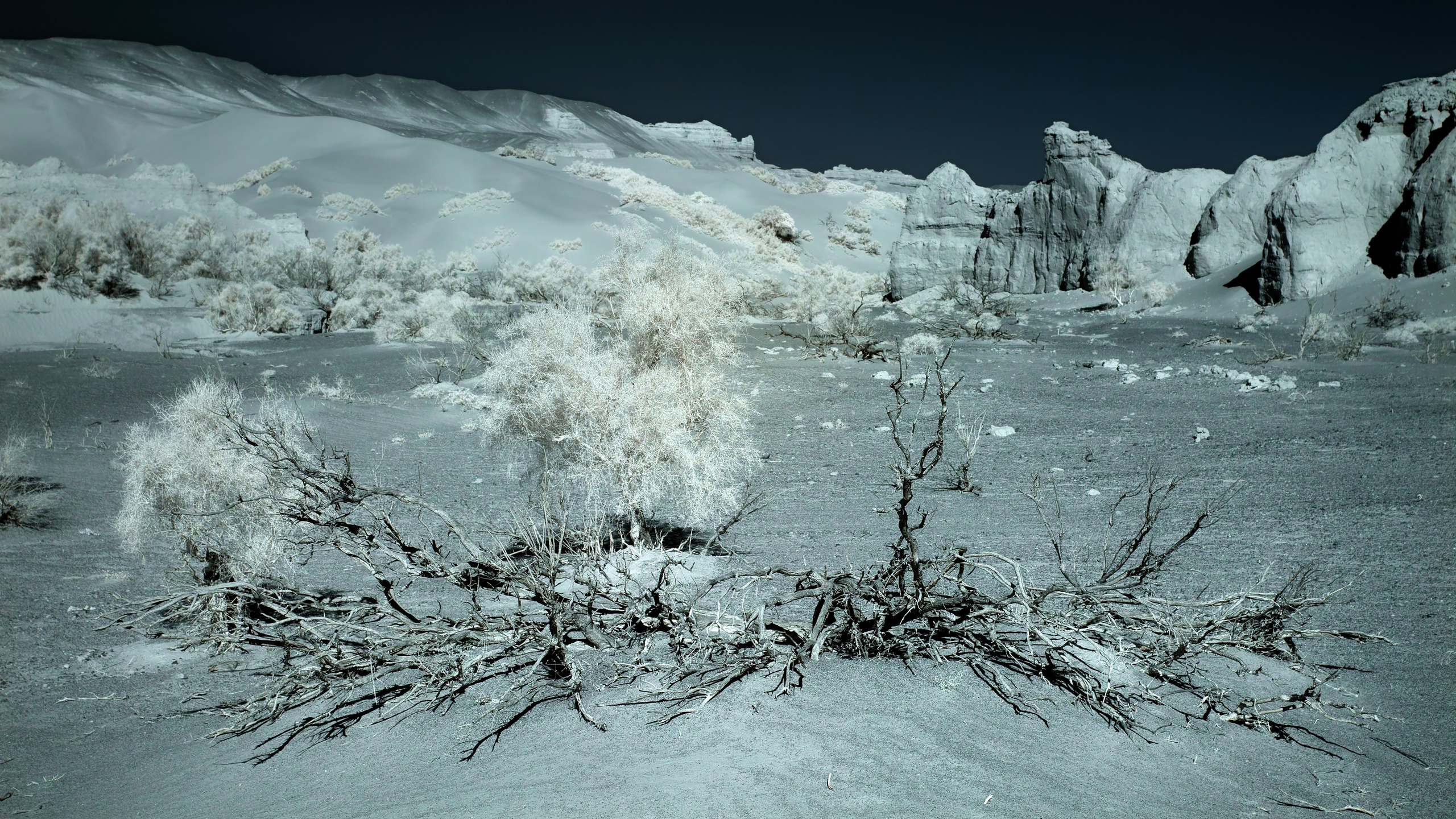 Экспедиция в Монголию (Гоби). Семоха Валерий. Фотограф