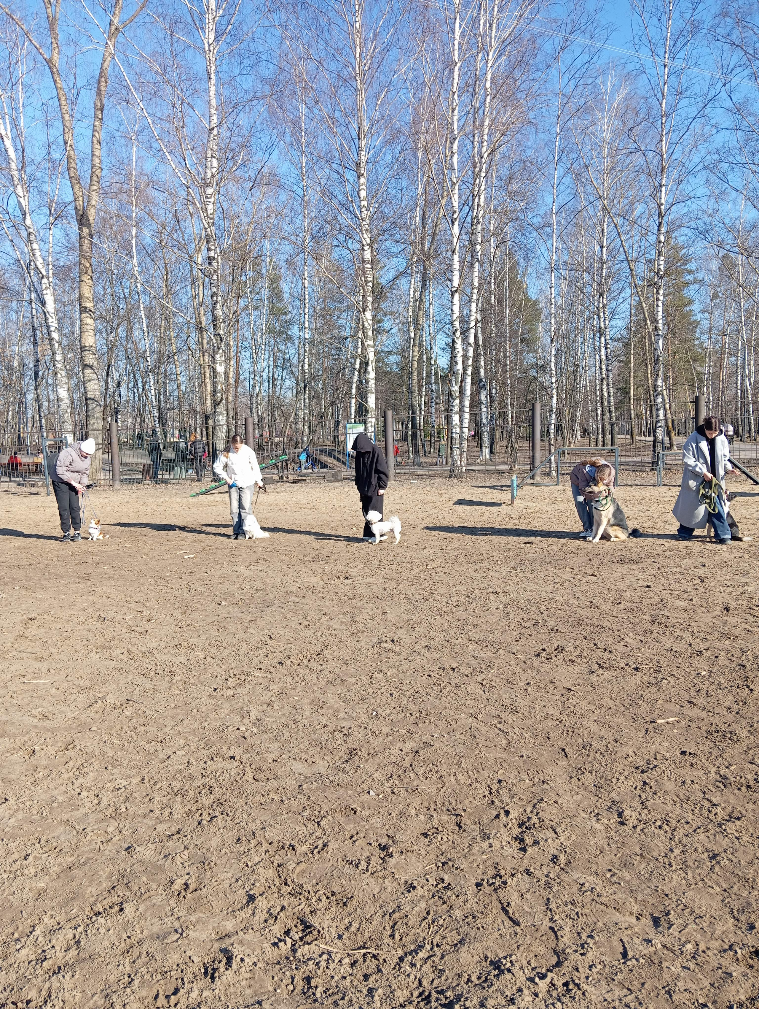 Практические занятия по дрессировке. НРОО КЦ "Собаковод"