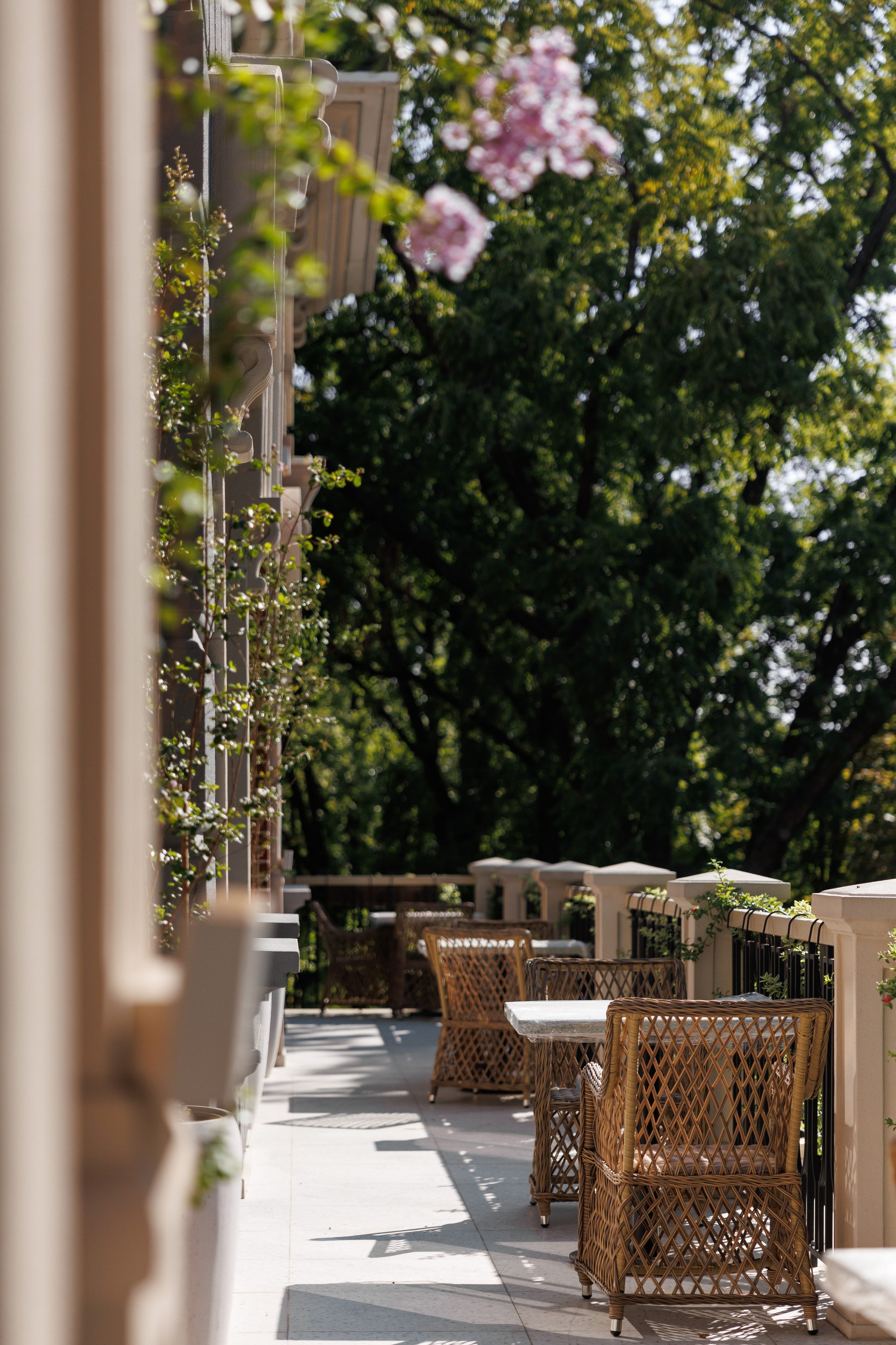 Тёплые Страны | Декор/Интерьер. Главная