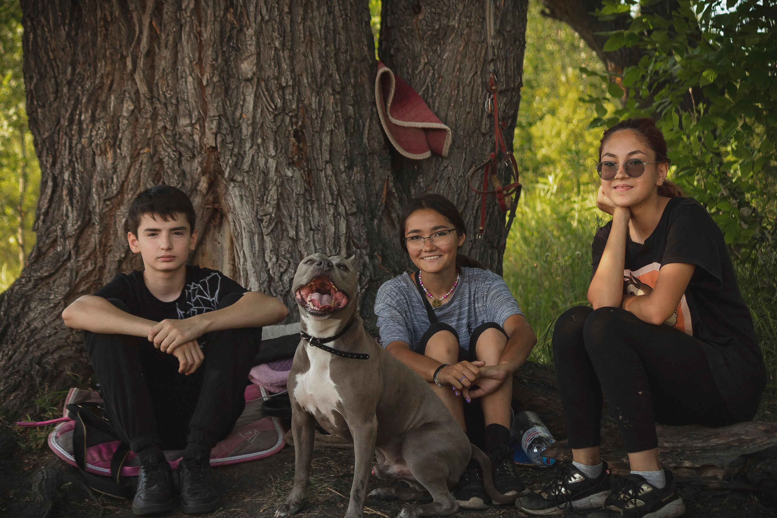 Животные альбом. Фотограф Каримов Виктор