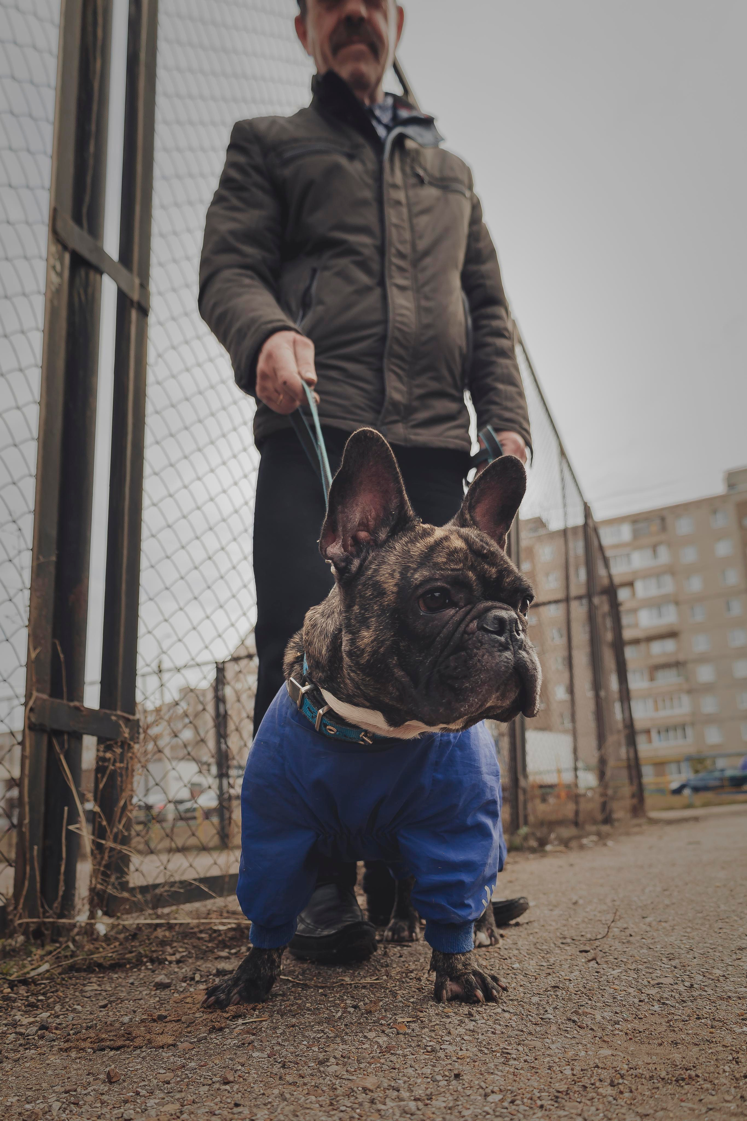 Животные. Фотограф Каримов Виктор