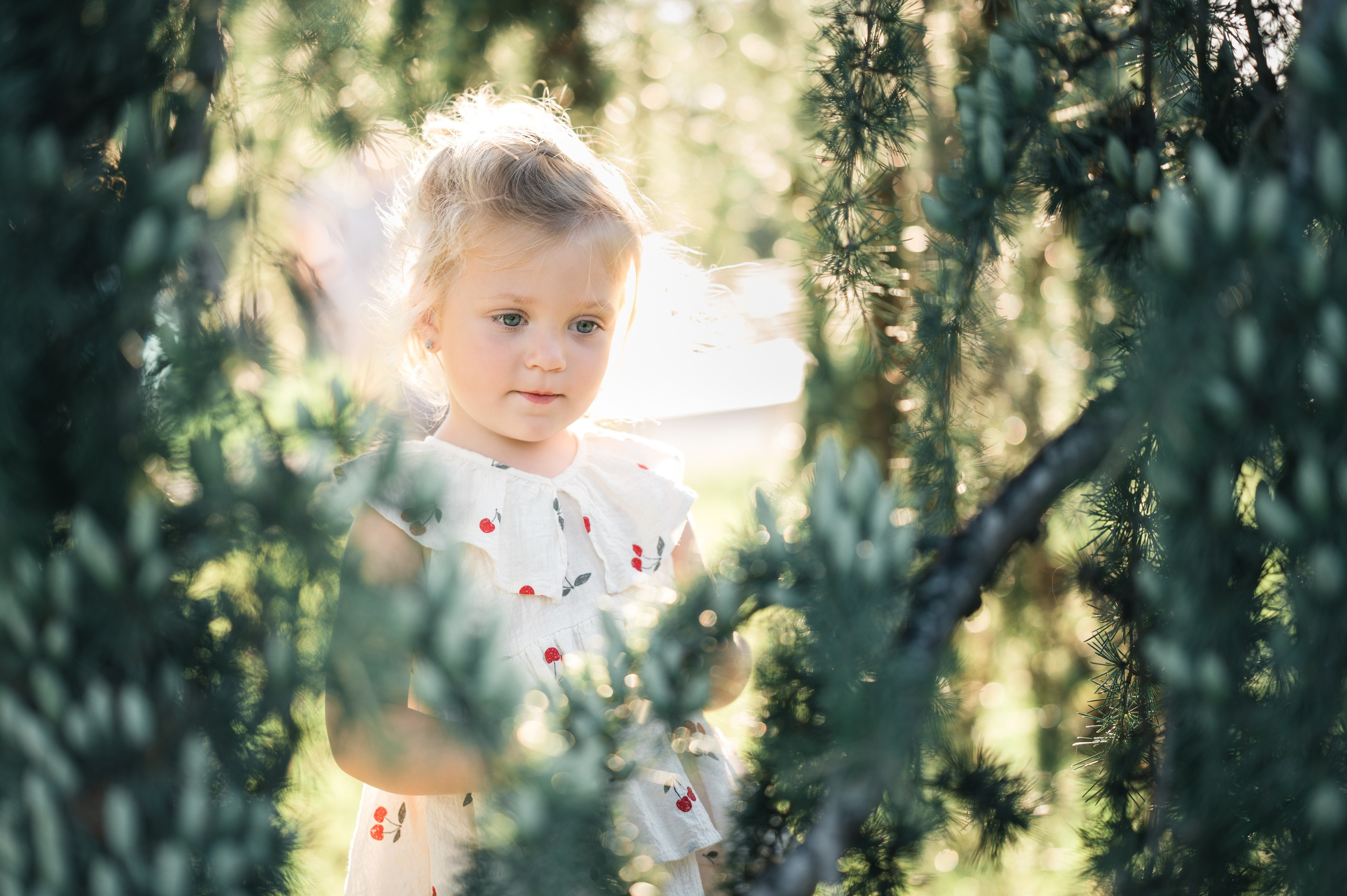 Семейное. Главная