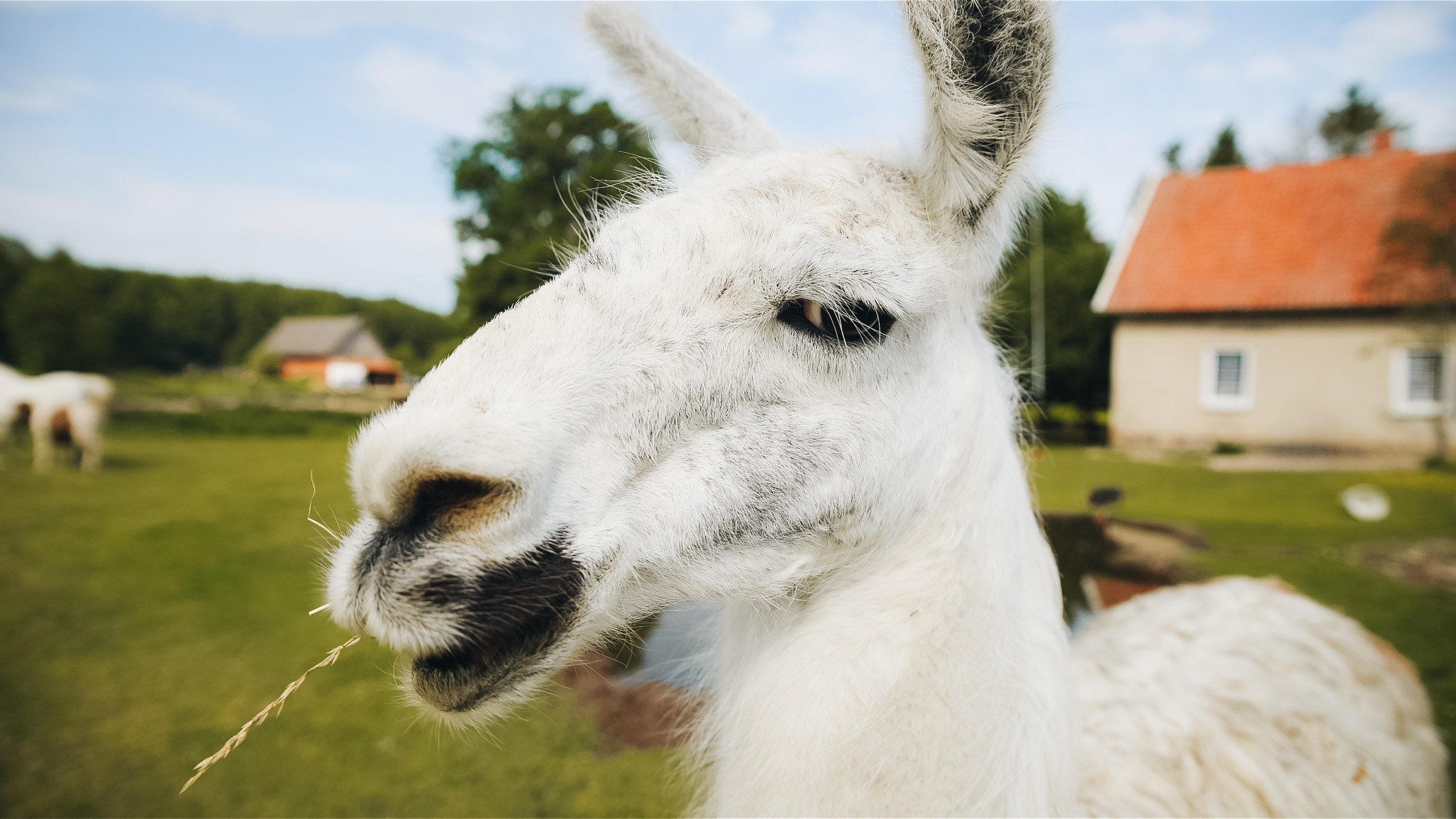 Тур — девичник LEF.TRAVEL.CLUB. KRIS KRUPINNIKOVA