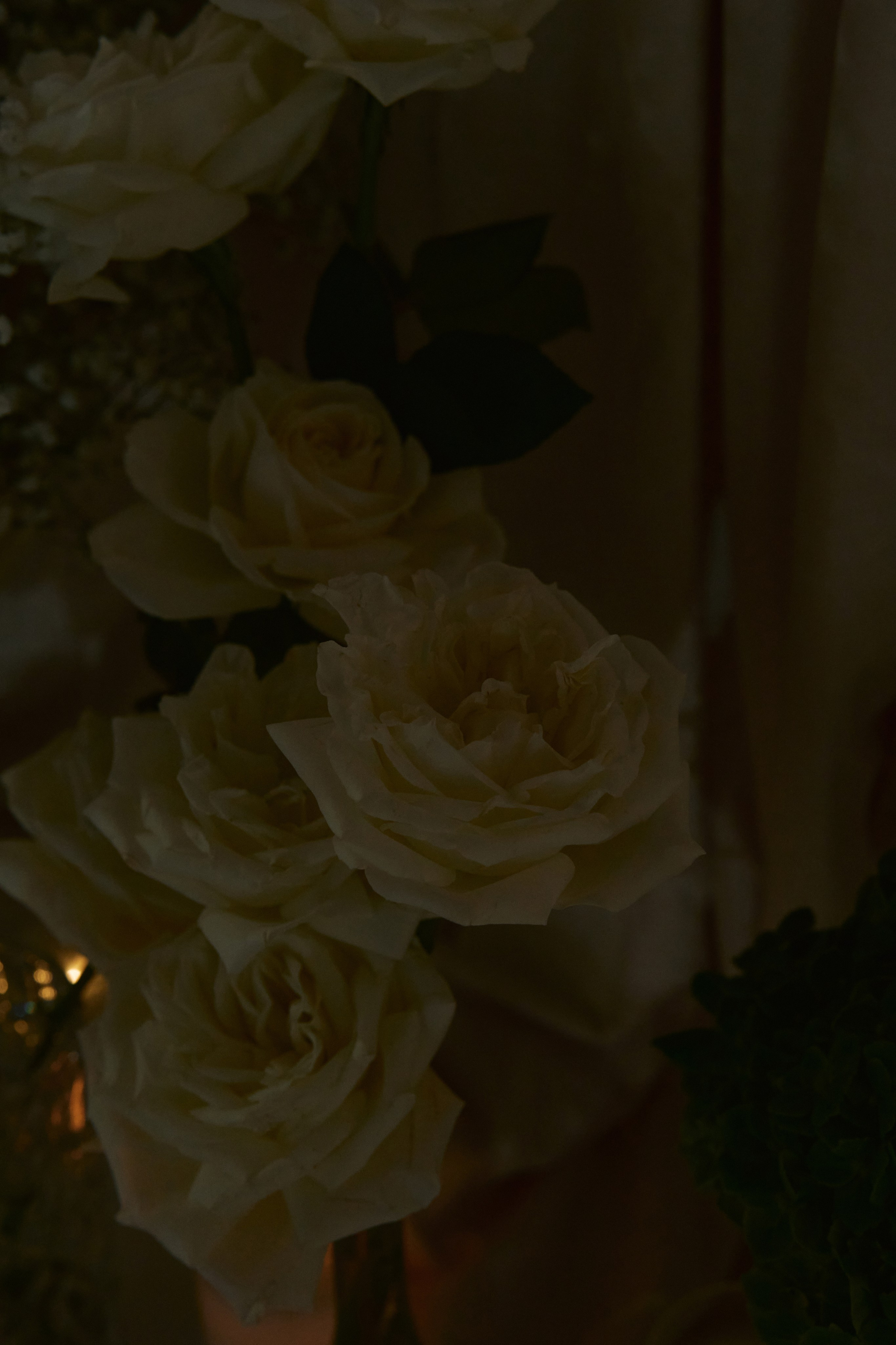 Гурген & Виктория. Свадебный фотограф Кристина Вениченко