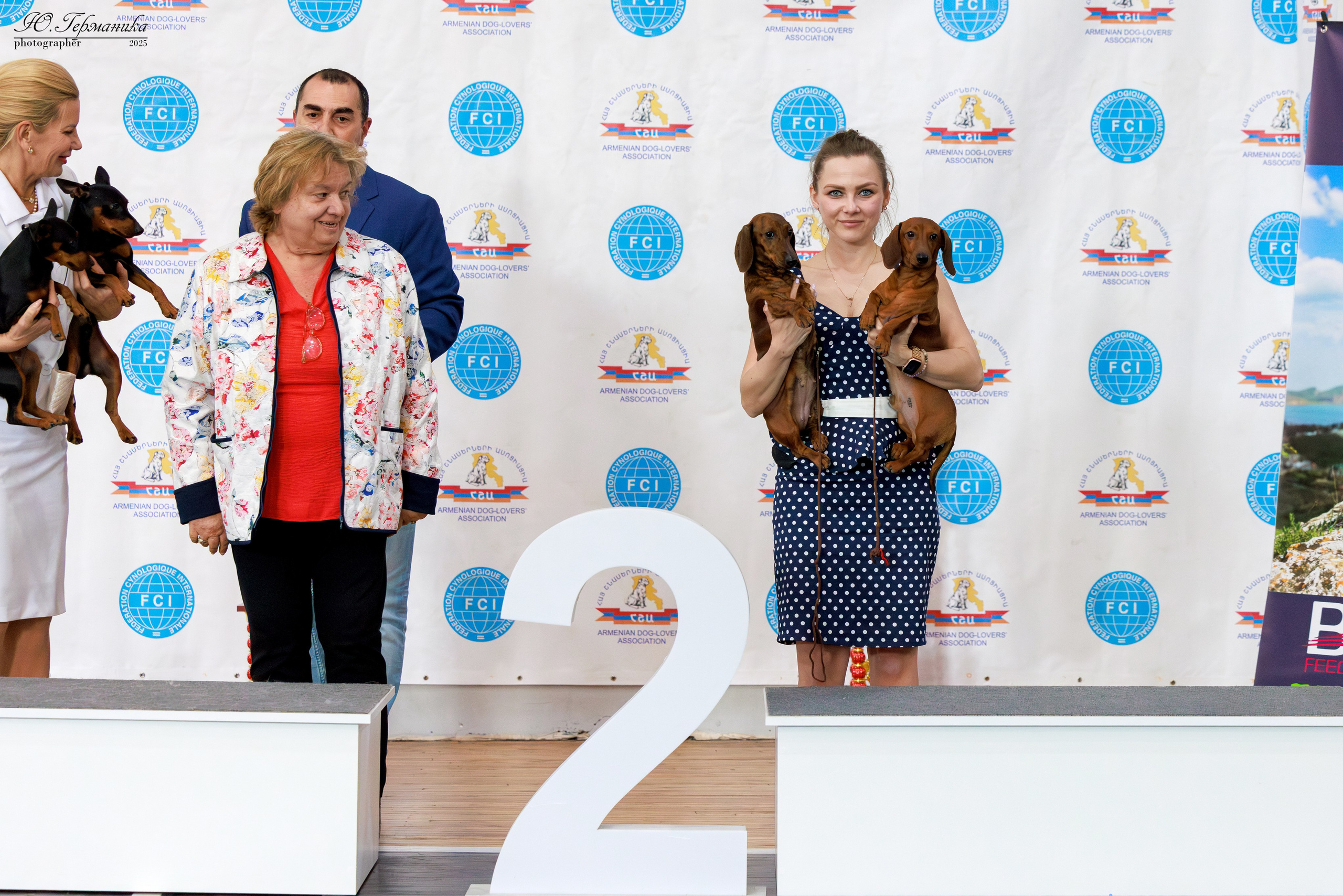 Ереван 2х CACIB 29-30.04.2025. Фотограф-анималист Юлия Германика