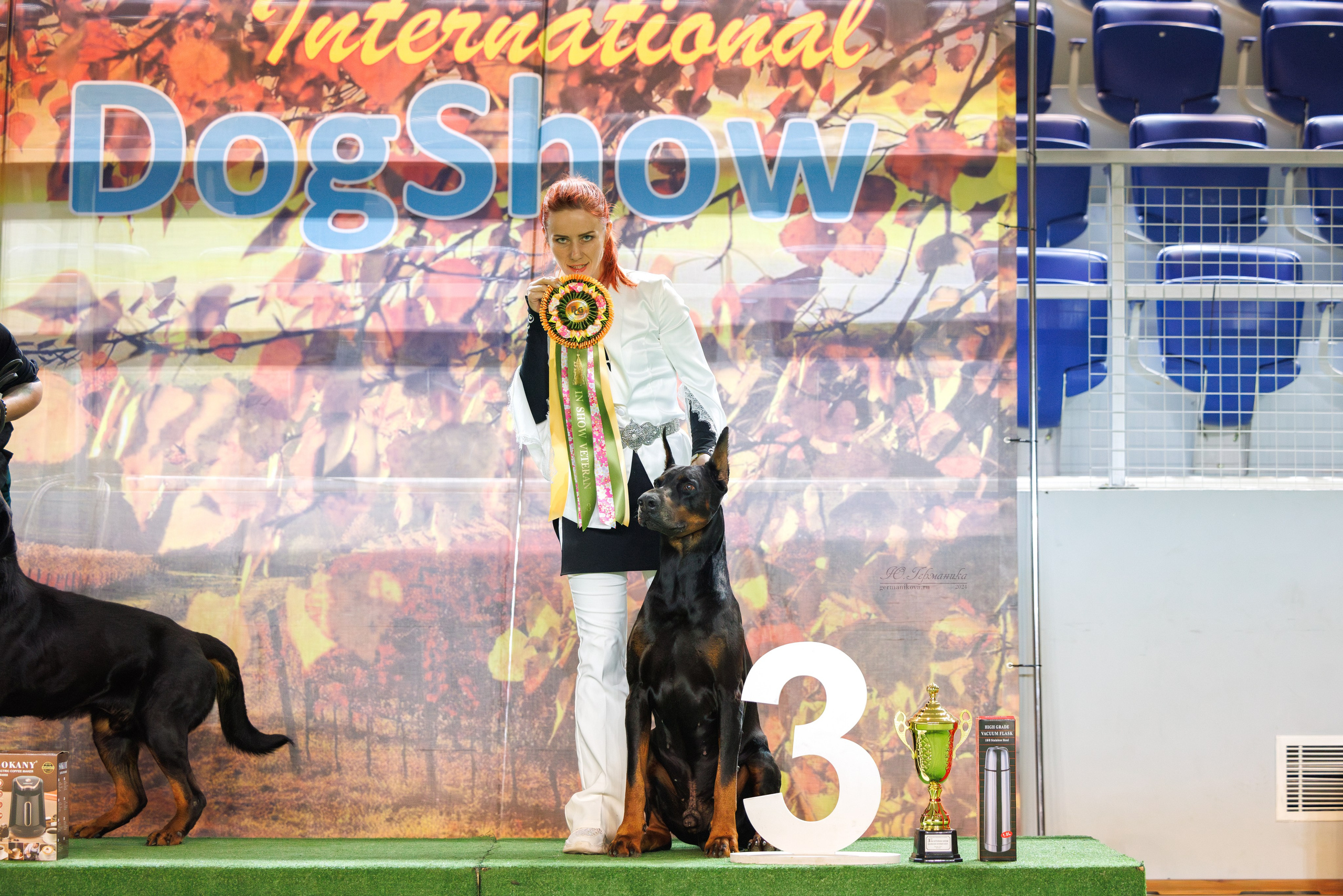 Грузия,Телави 2хCACIB 19-20.10.2024. Фотограф-анималист Юлия Германика