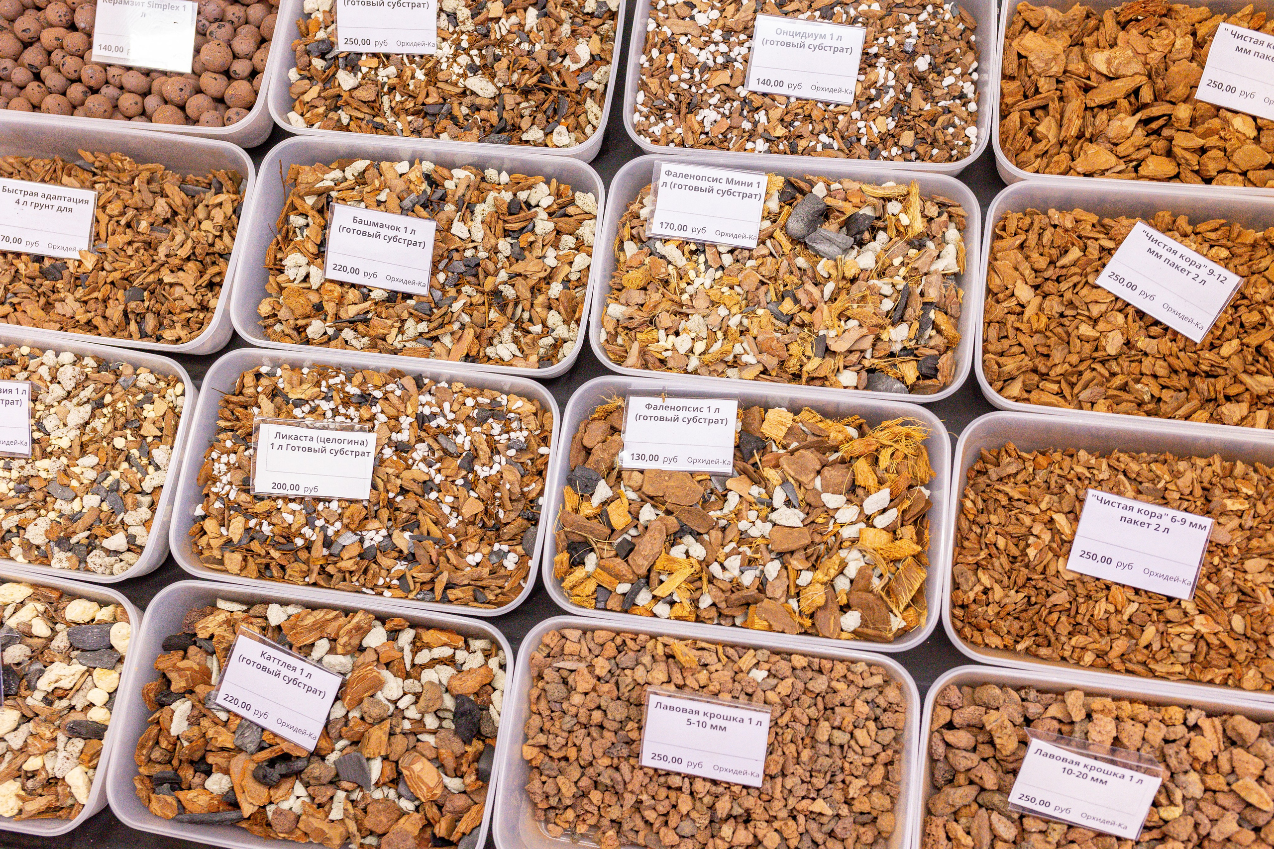 Монстериум 11–12 октября. Александра Куликова фотограф, Москва