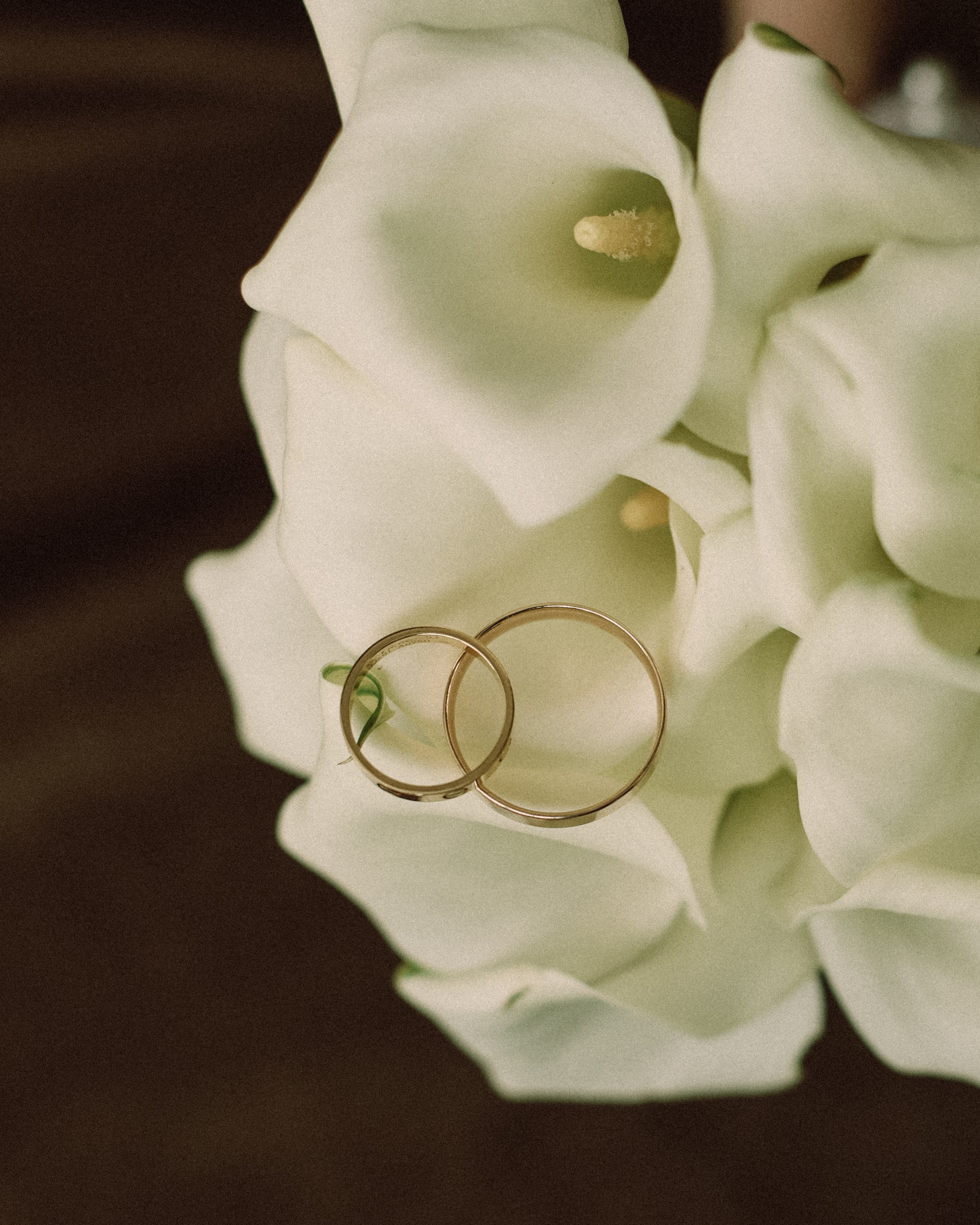 Прайс на свадебный сезон. Фотограф Соня Даркевич