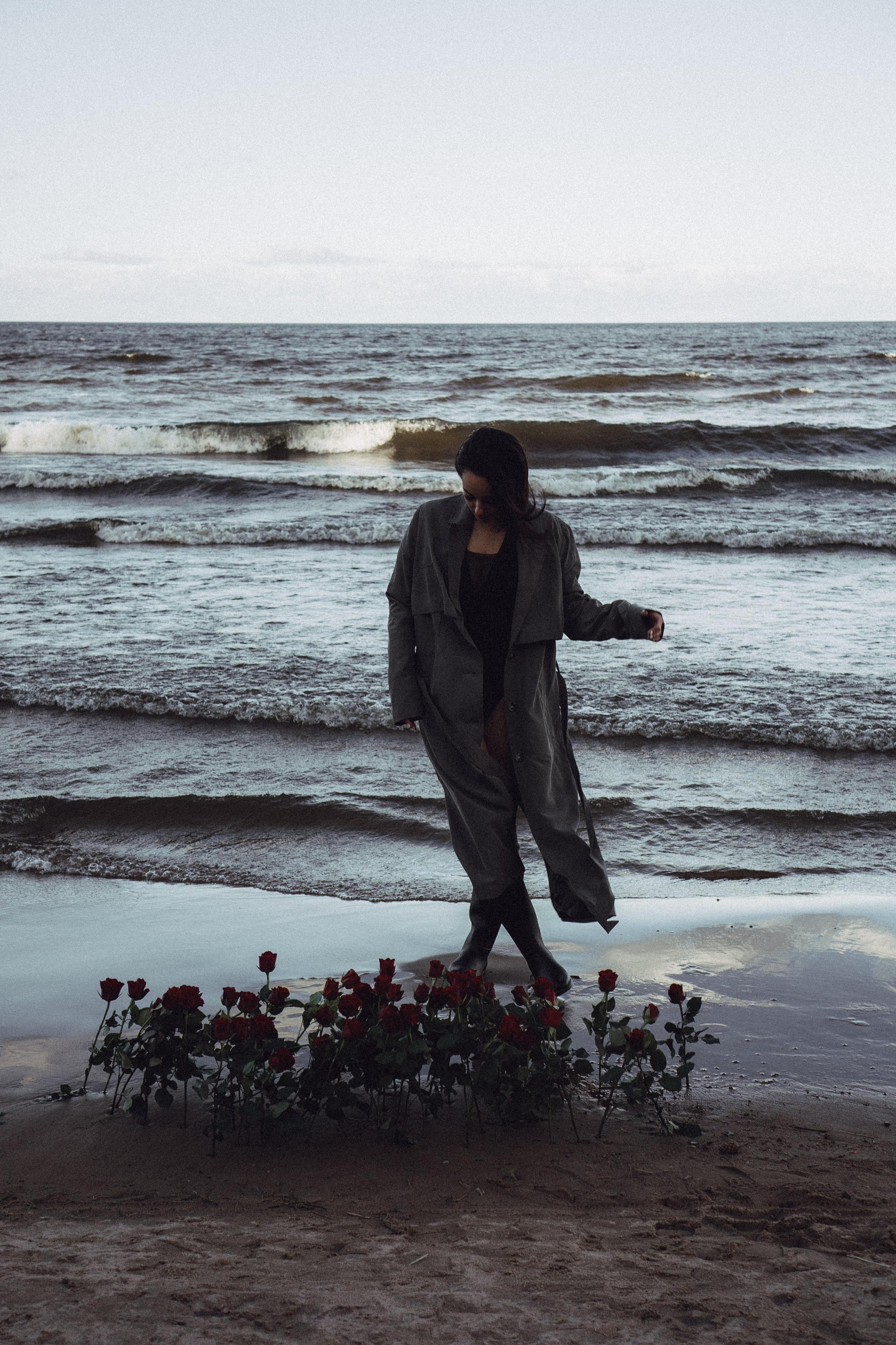 Розы. Профессиональный фотограф, Санкт-Петербург — Виктория Богомолова