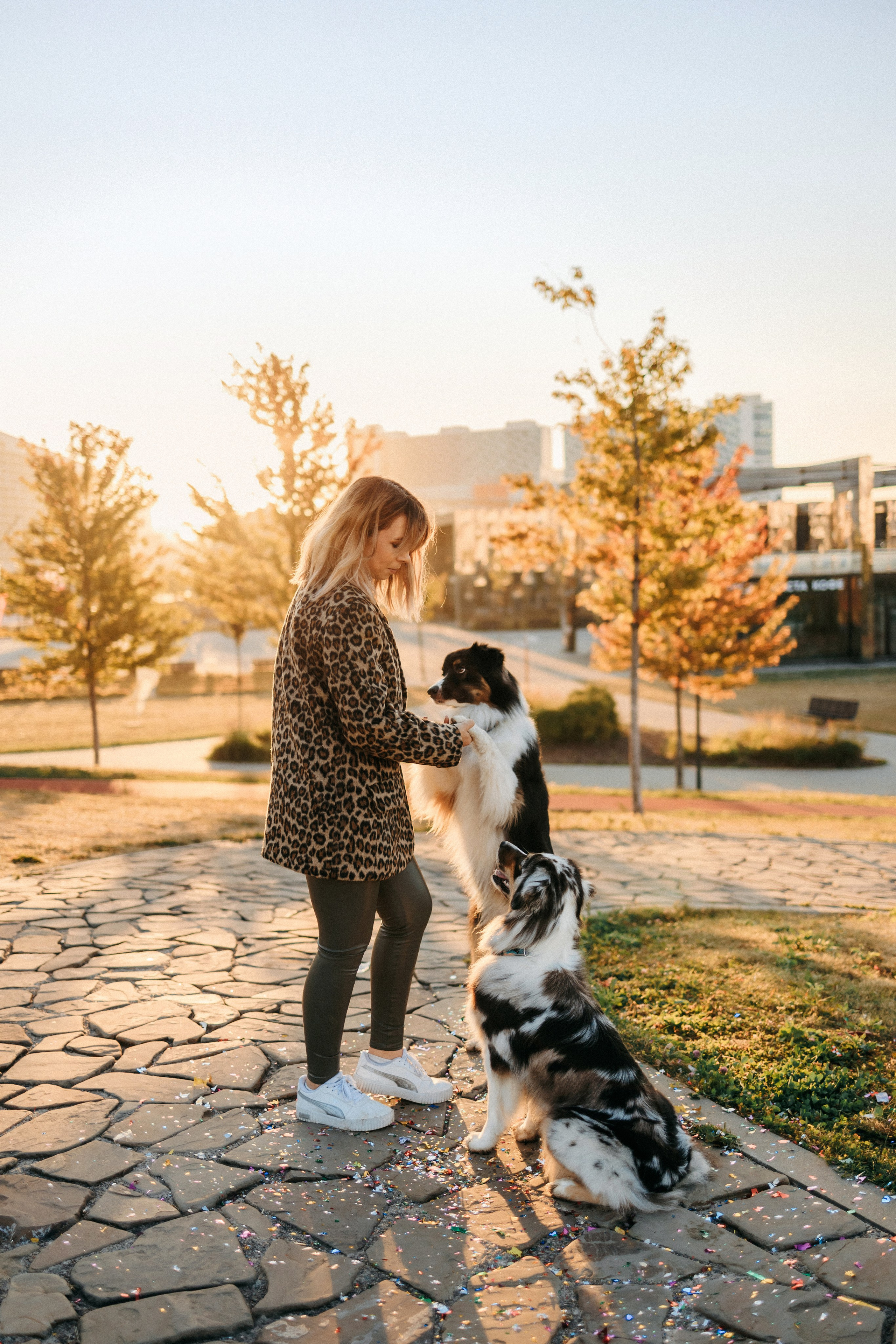 Аня, Чарли и Ева. Фотограф-анималист Елена Радченко, Москва