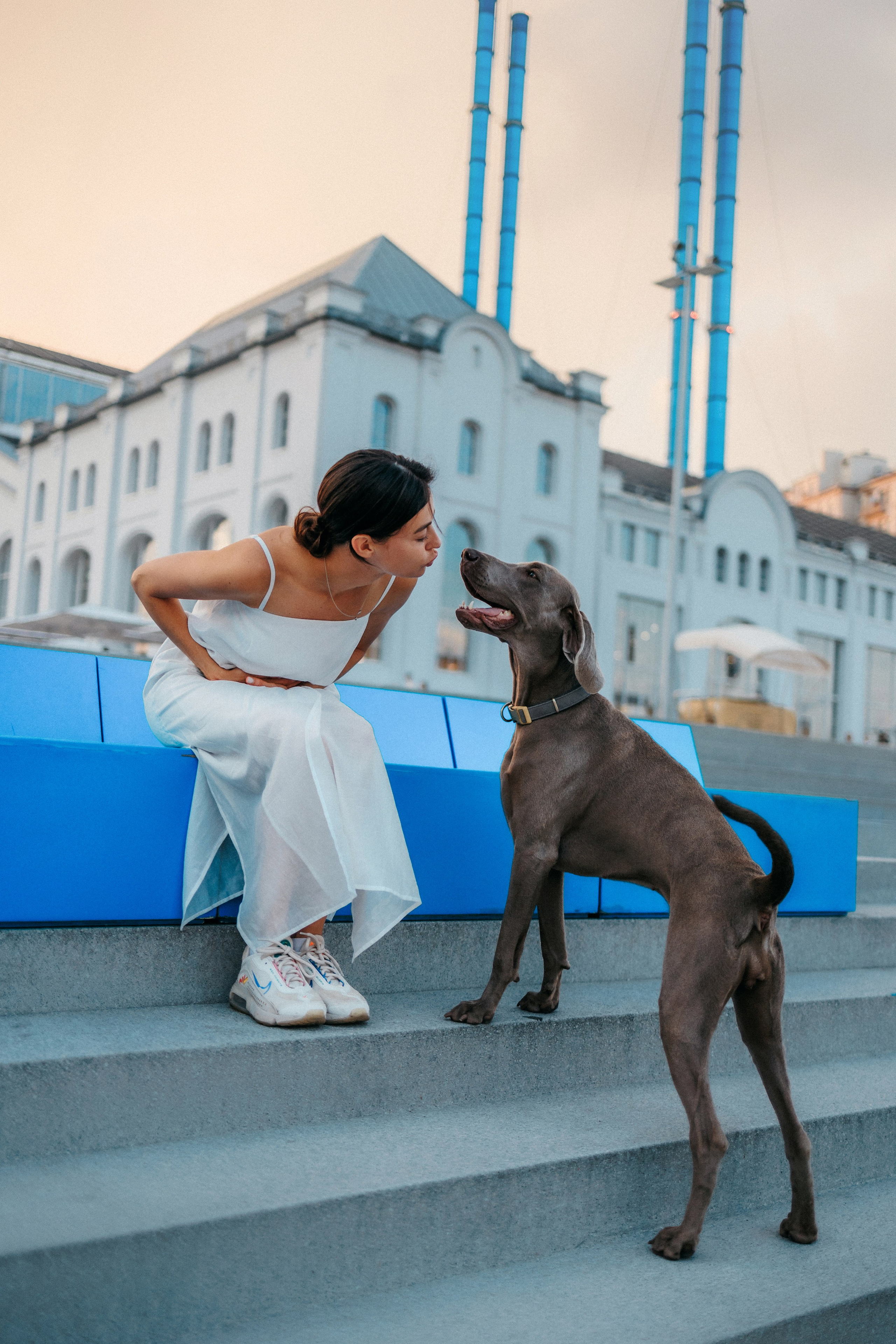 Соня и Майли. Фотограф-анималист Елена Радченко, Москва