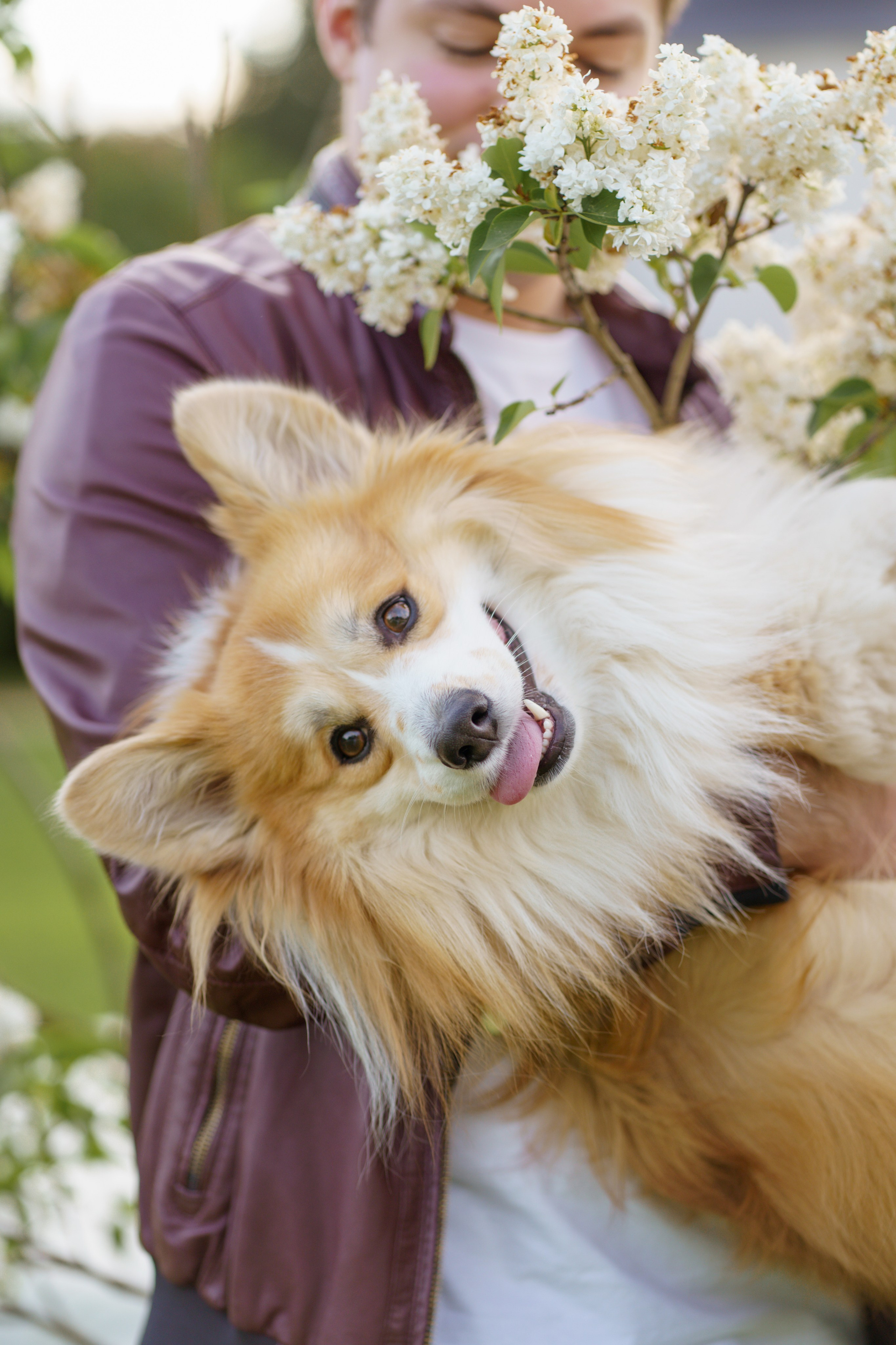 Катя, Арсений и Пух. Свадебный фотограф в Москве Анна Полушина